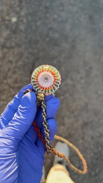 Preview pic of 2025 Steve H Glass Rainbow Burst Pendant