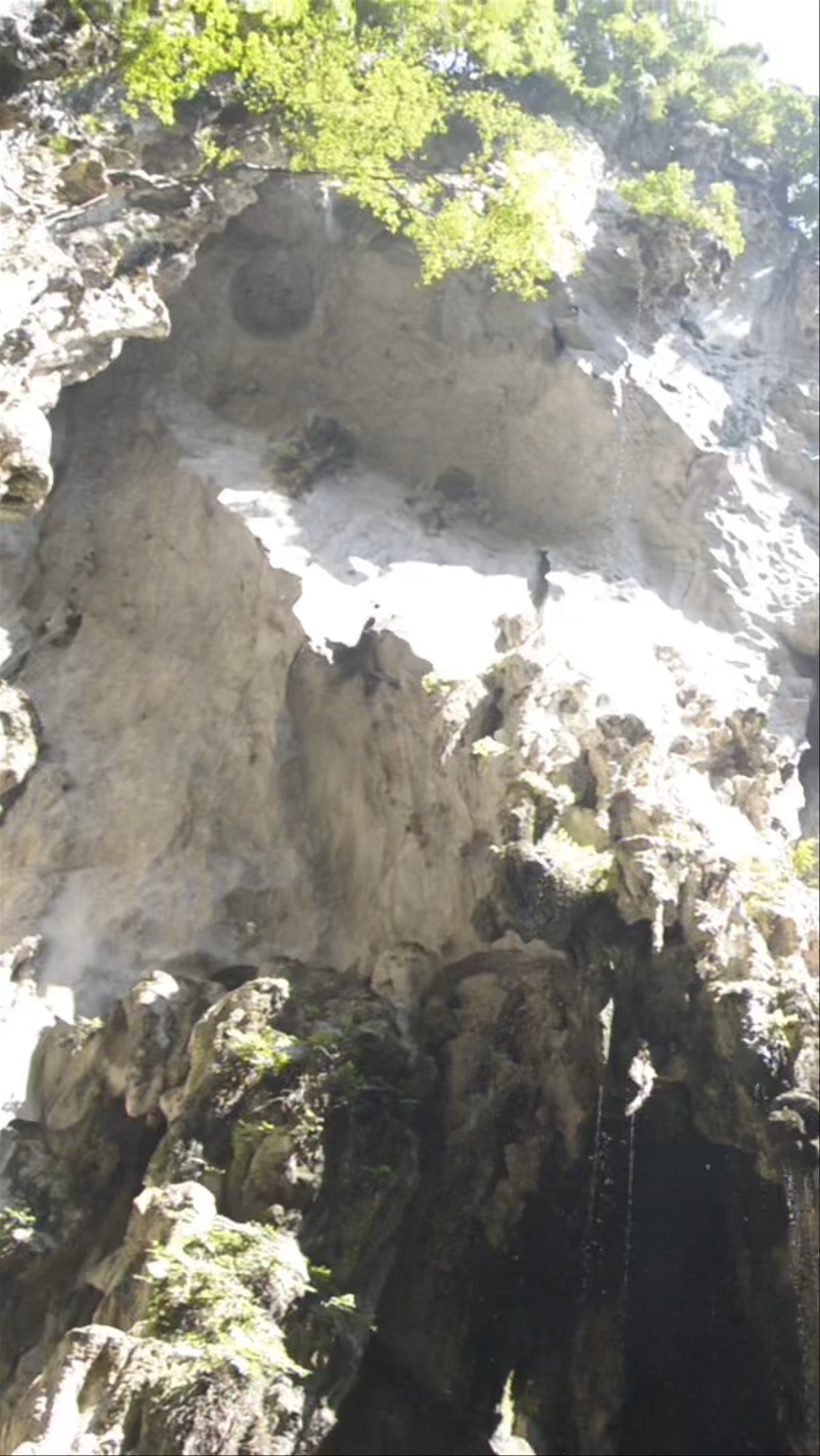 Batu Caves: Majestic Limestone Caverns and Sacred Shrine in Selangor