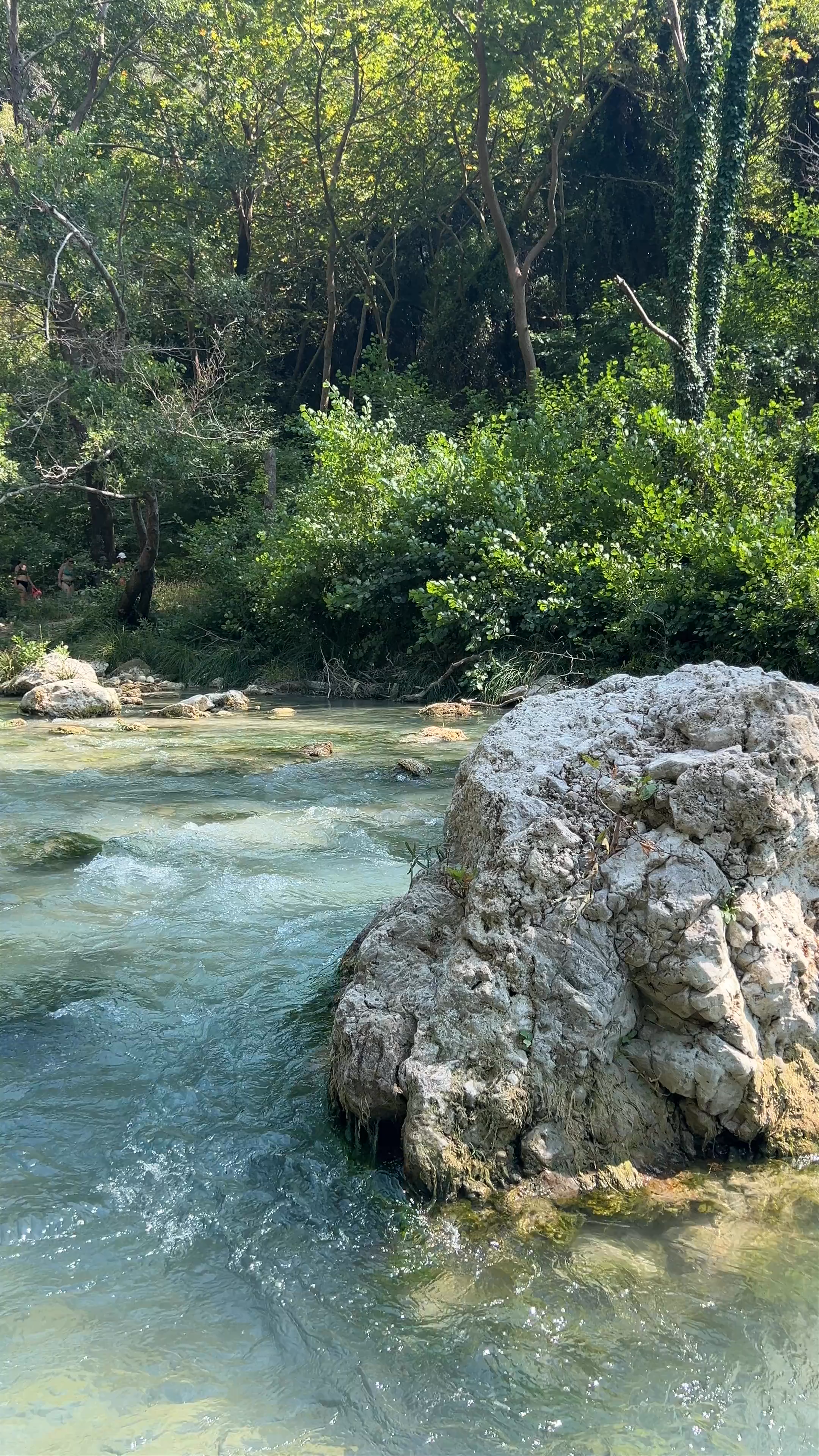 Acheron Springs - Canyon Acheron