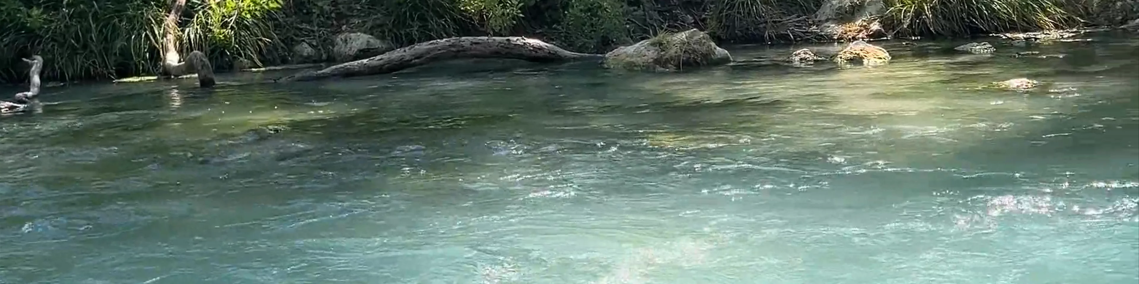 Acheron Springs - Canyon Acheron