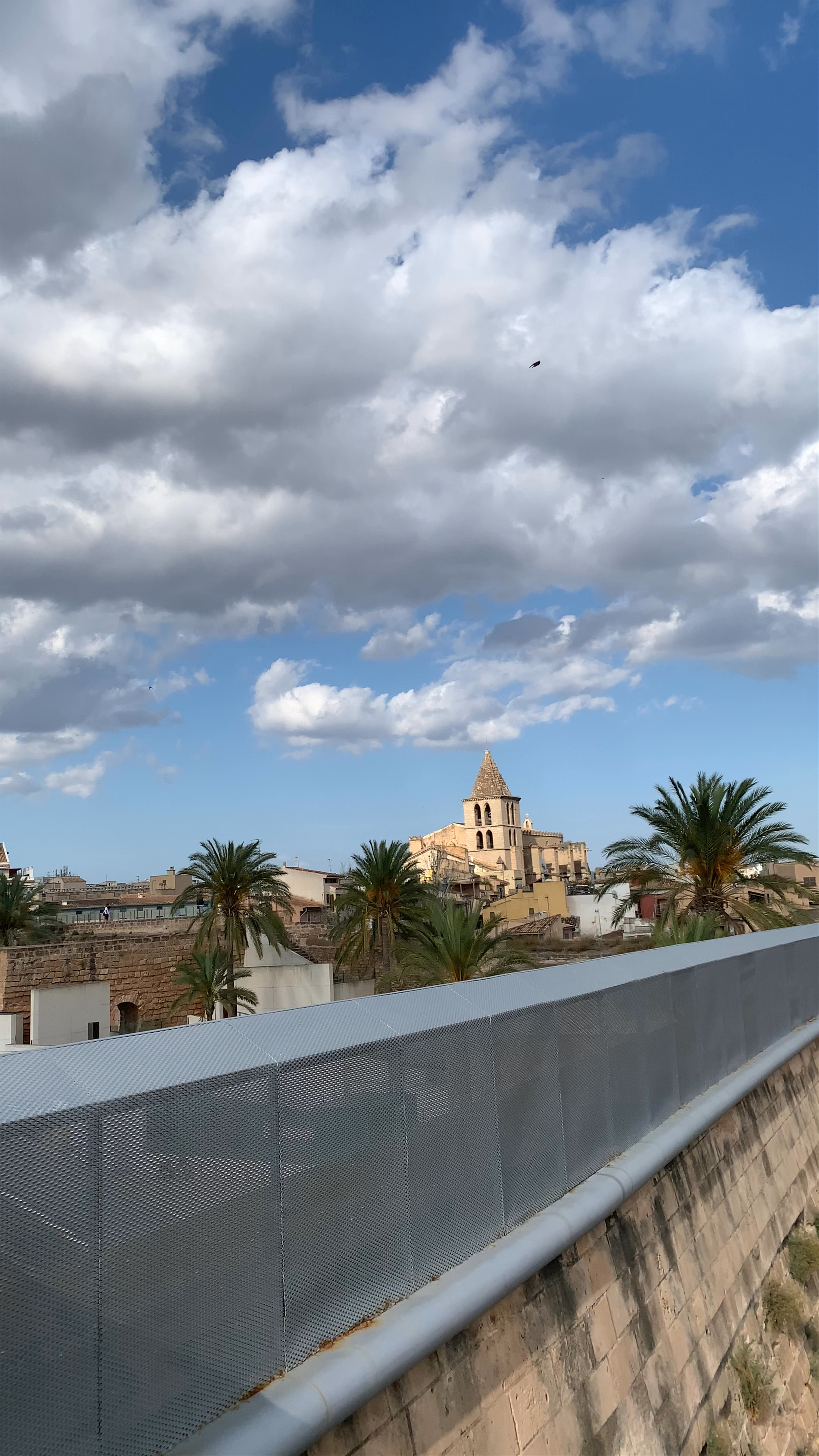 Es Baluard Museu d'Art Contemporani de Palma