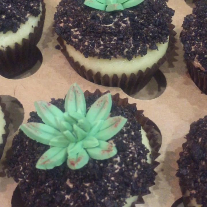 The Cupcake Divas - Desserts Near Me
