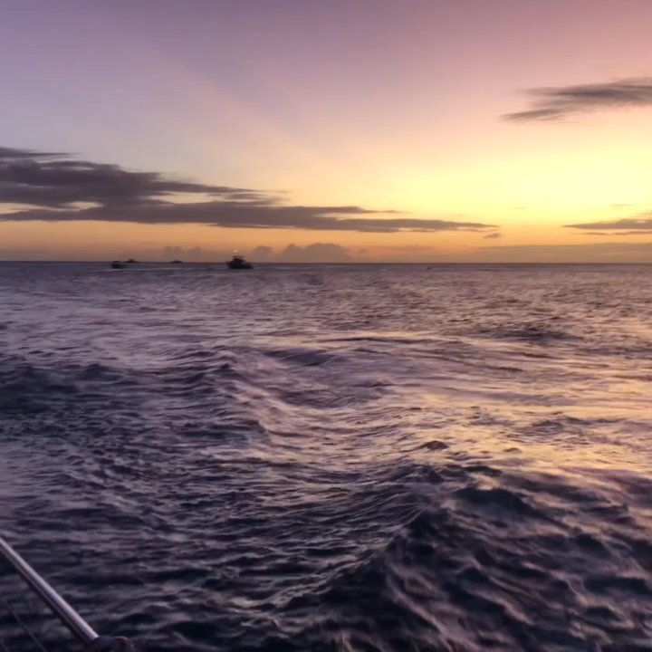 Kamoauli - Beautiful view post sunset as we sail back into the harbor - Historical Tours Near Me - Honolulu, Hawaii