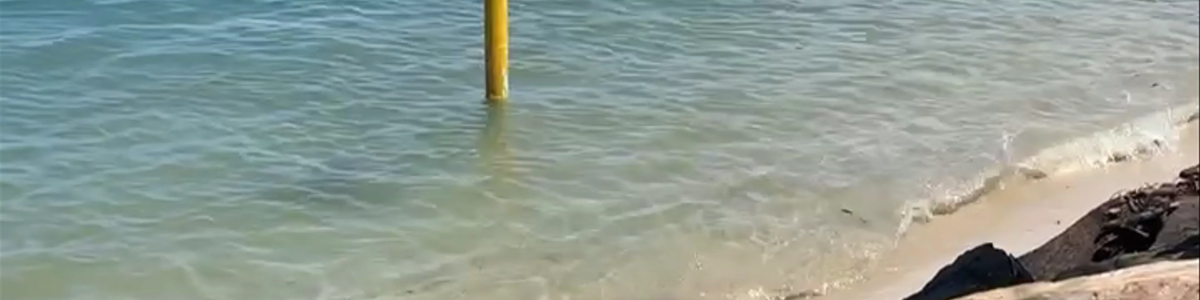 Tallebudgera Creek