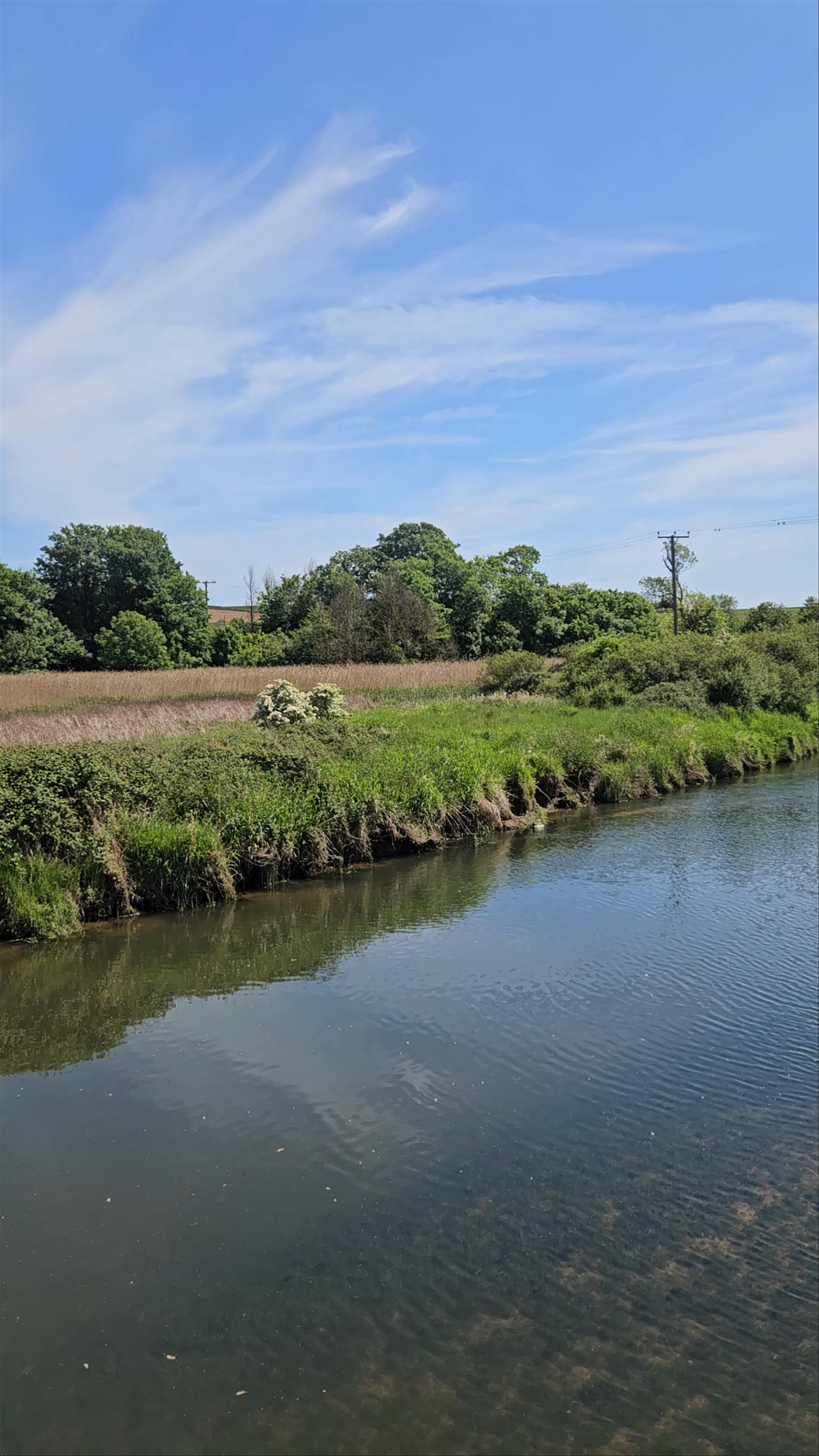 Otter Estuary Nature Reserve: Serene Riverside Escape in Budleigh Salterton