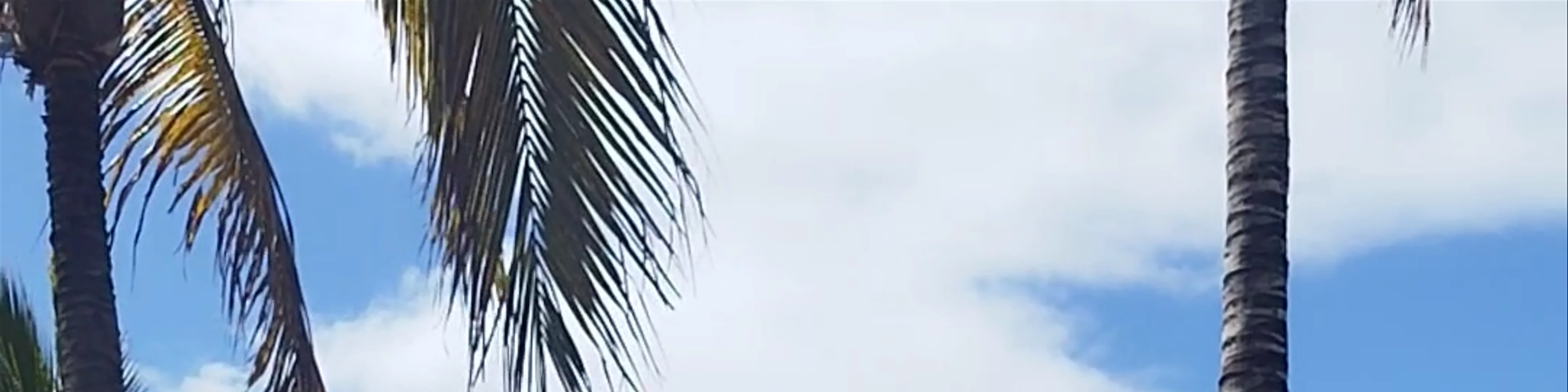 Playa Grande