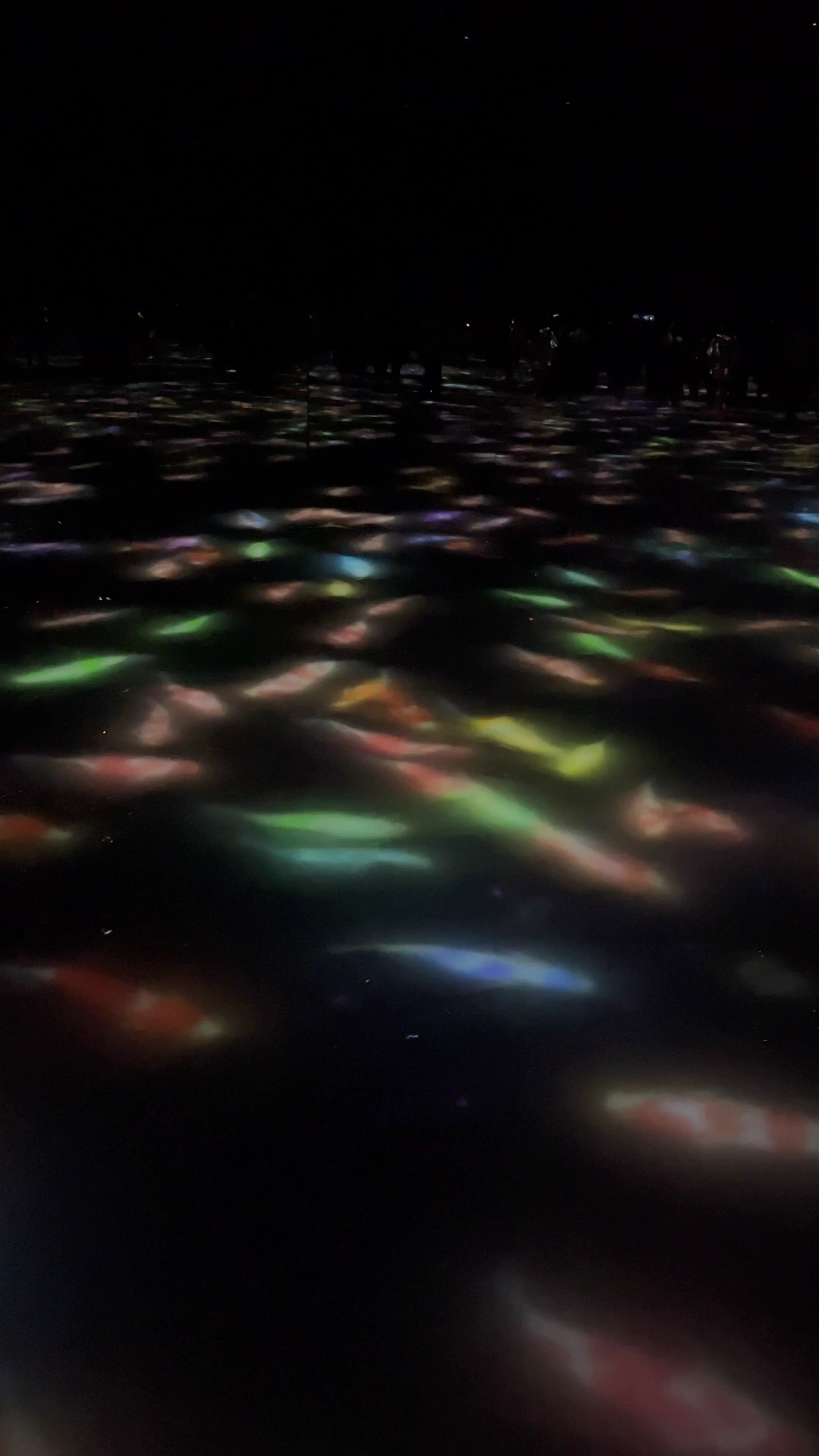 teamLab Planets TOKYO DMM