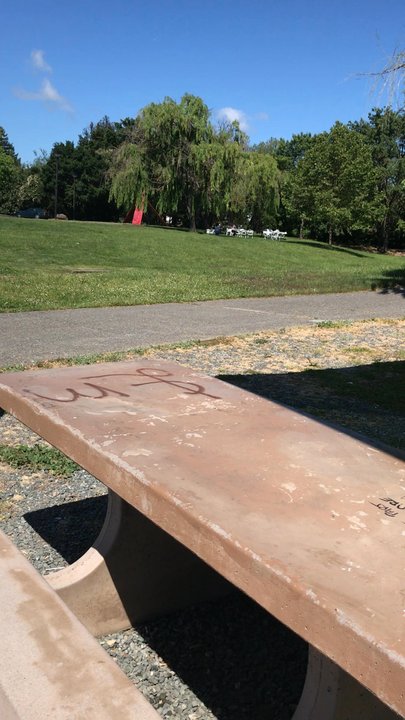 Lucchesi Park - Parks Near Me - Petaluma, California