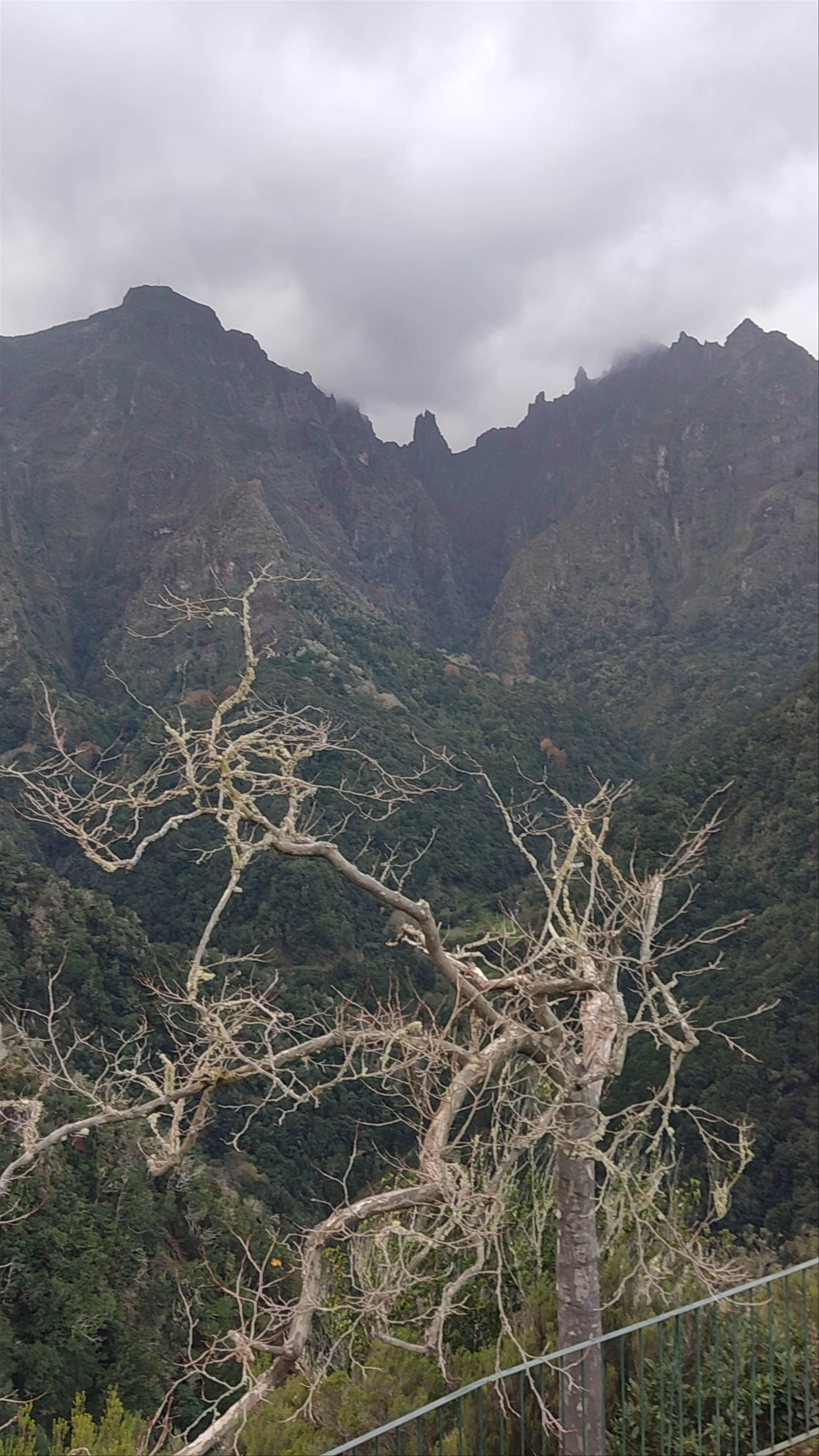 Levada dos Balcões: Stunning Mountain Views in Madeira