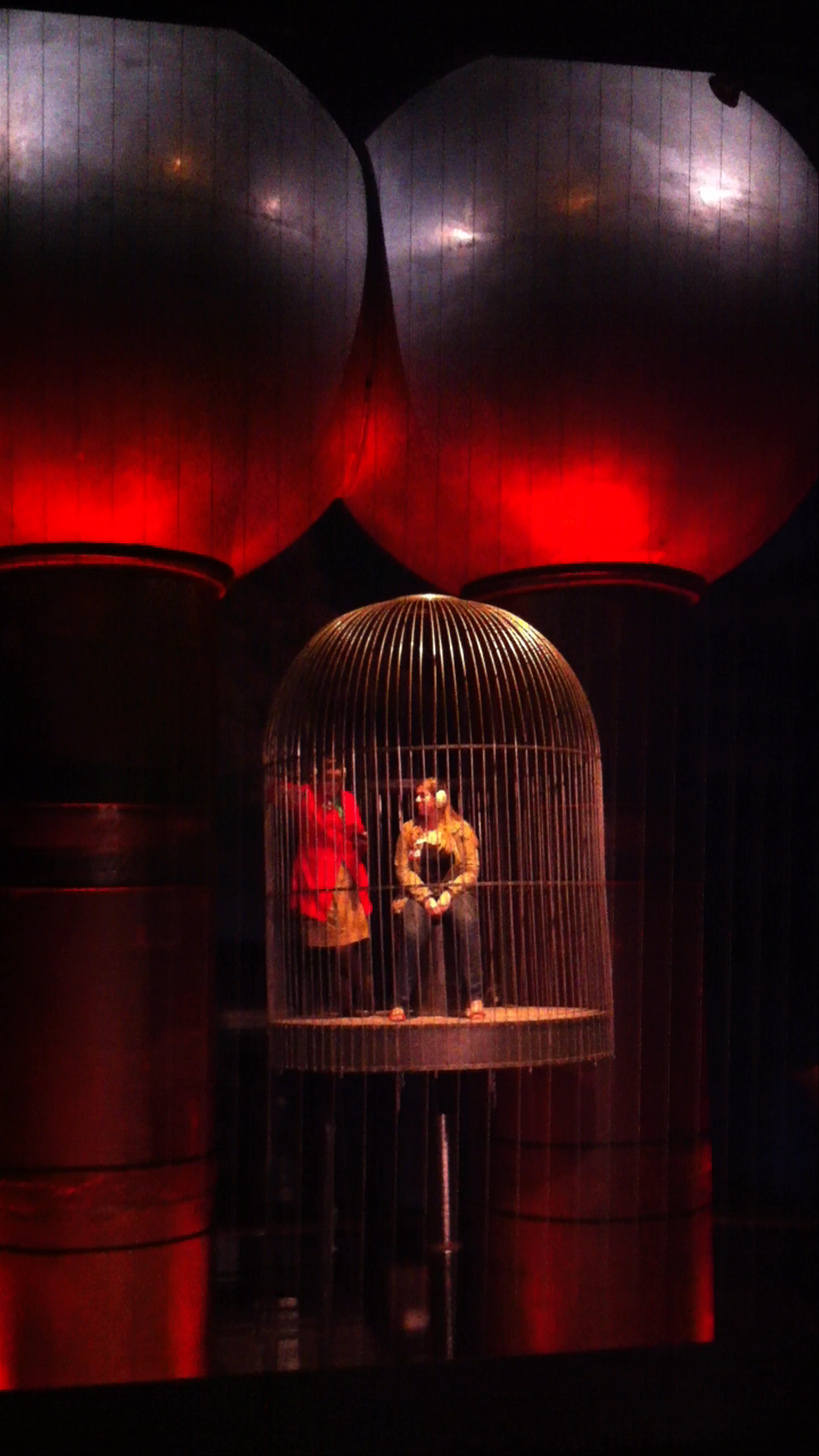 Dramatic Performance with Illuminated Cage at Museum of Science, Boston