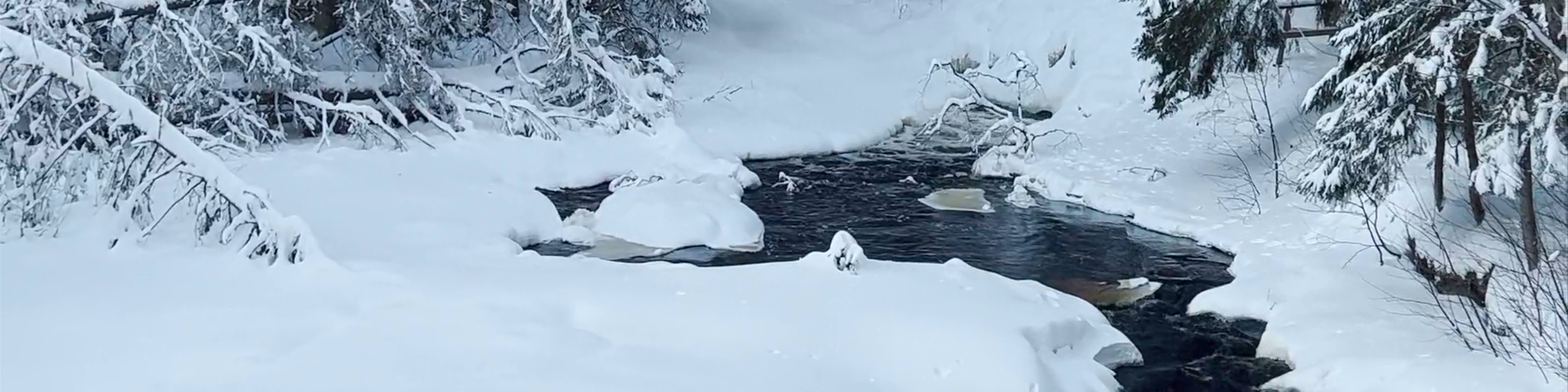 Karelia