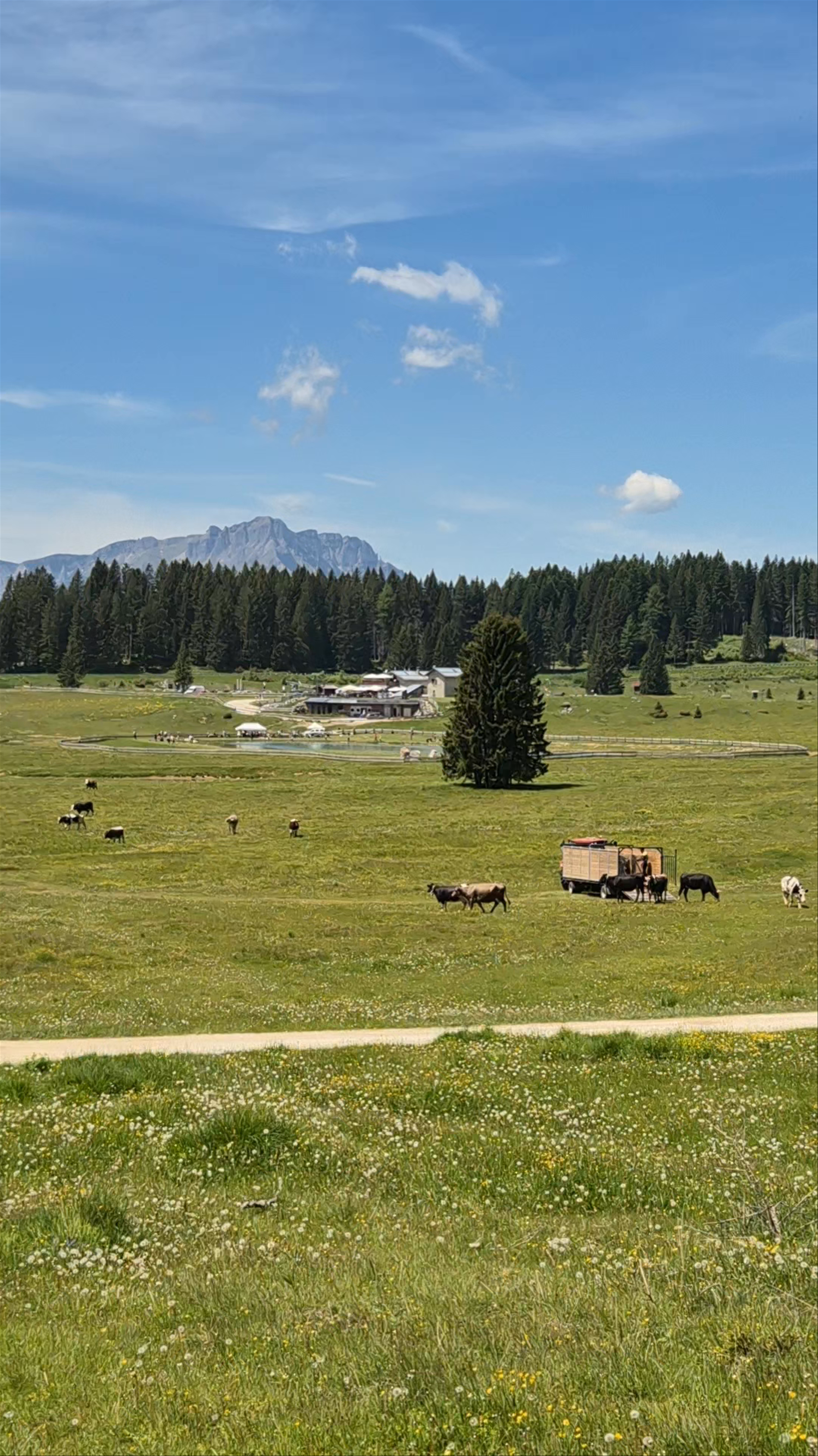 Malga Millegrobbe