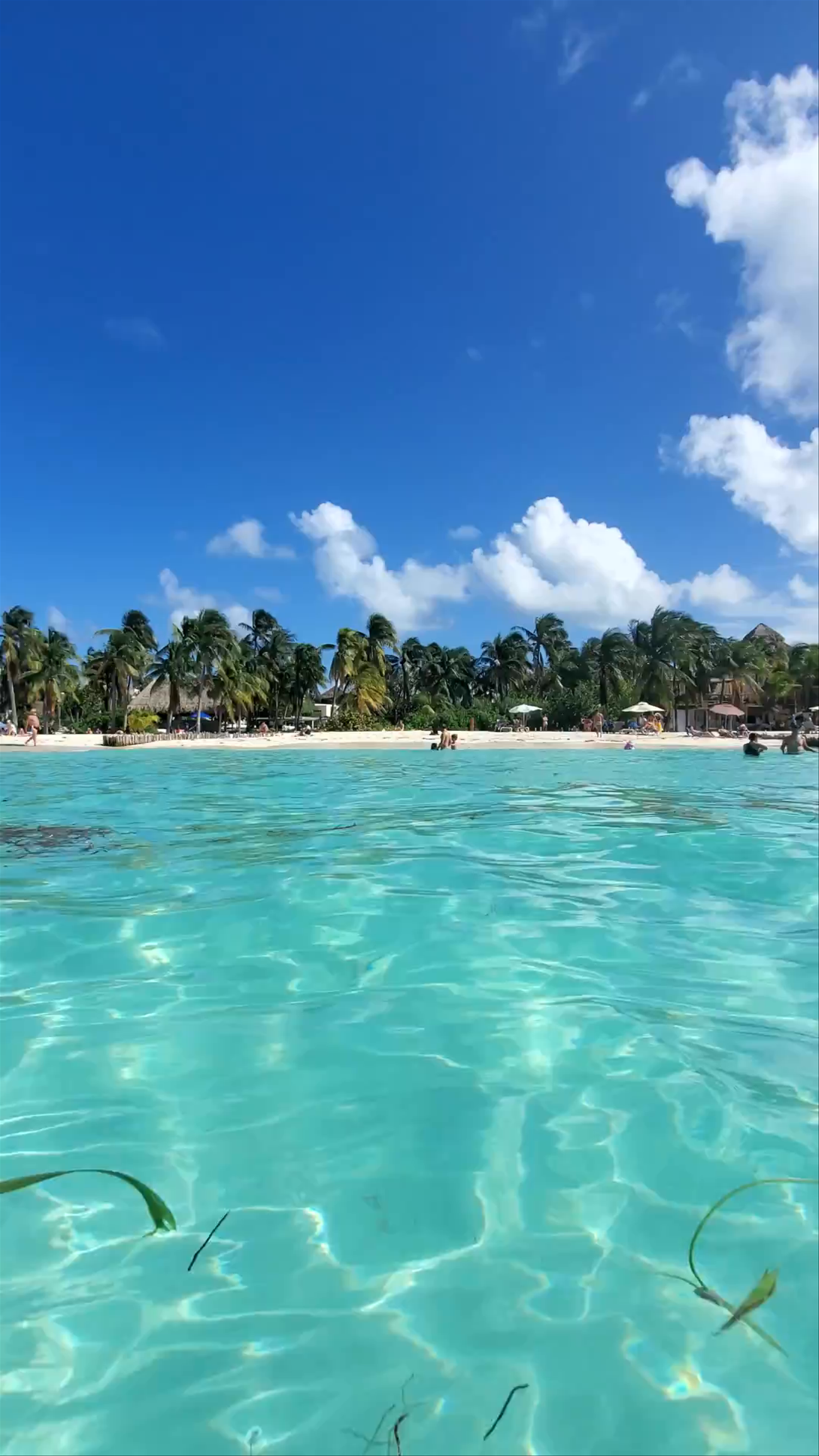 Playa Norte, Isla Mujeres: Crystal-Clear Caribbean Paradise