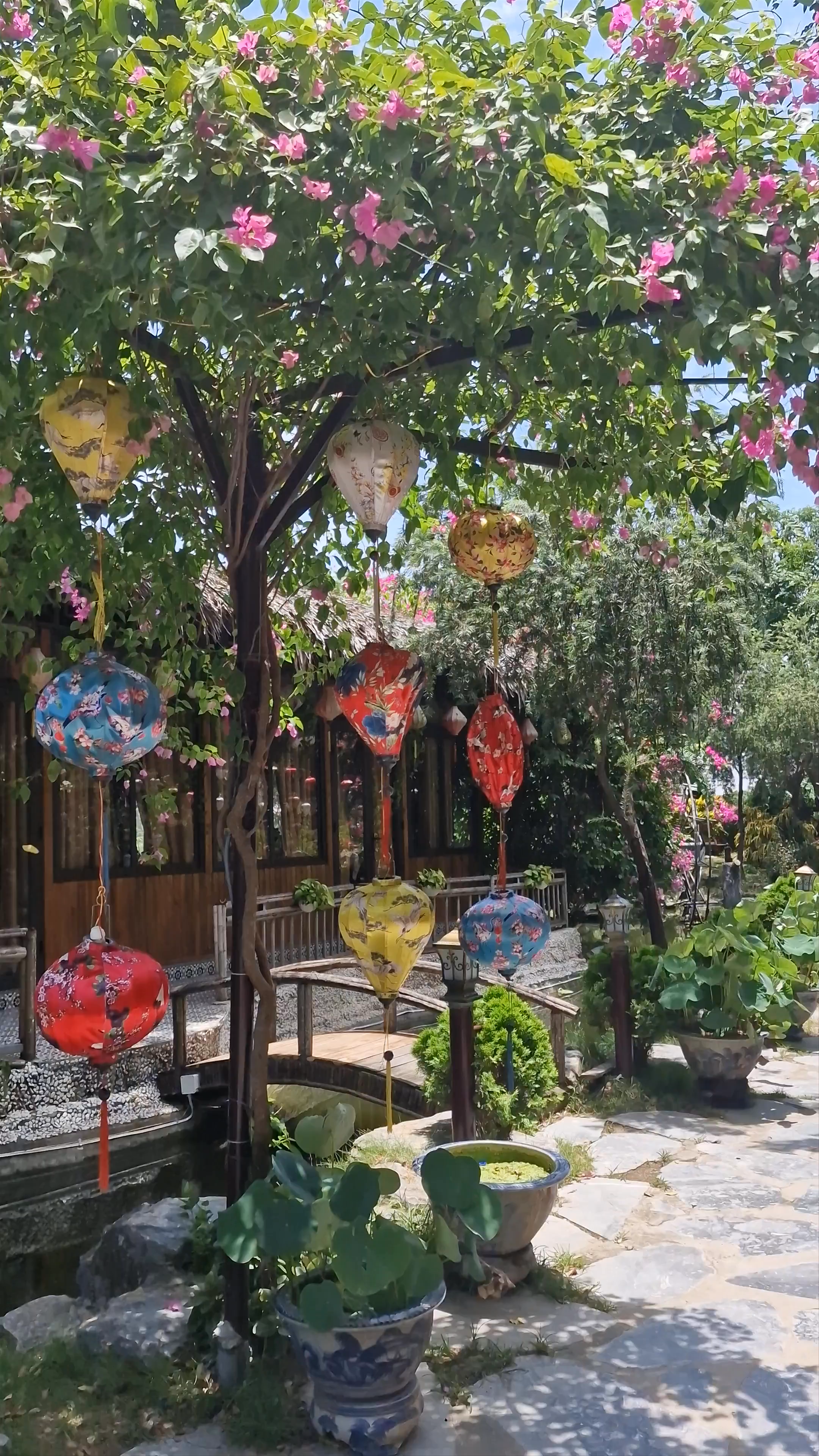 Serene Lantern-Strewn Pathway at Hang Múa, Ninh Bình