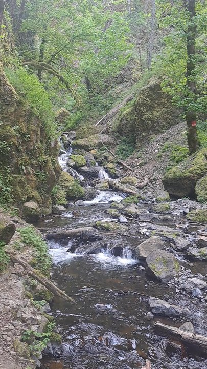 Wyeth Campground - Emerald falls behind wyeth campground - Campgrounds Near Me - Cascade Locks, Oregon