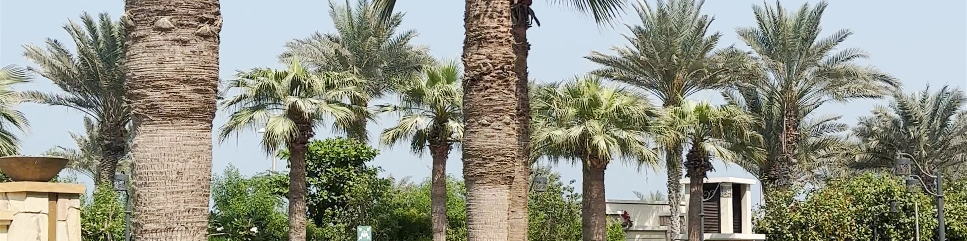 Sofitel Dubai The Palm