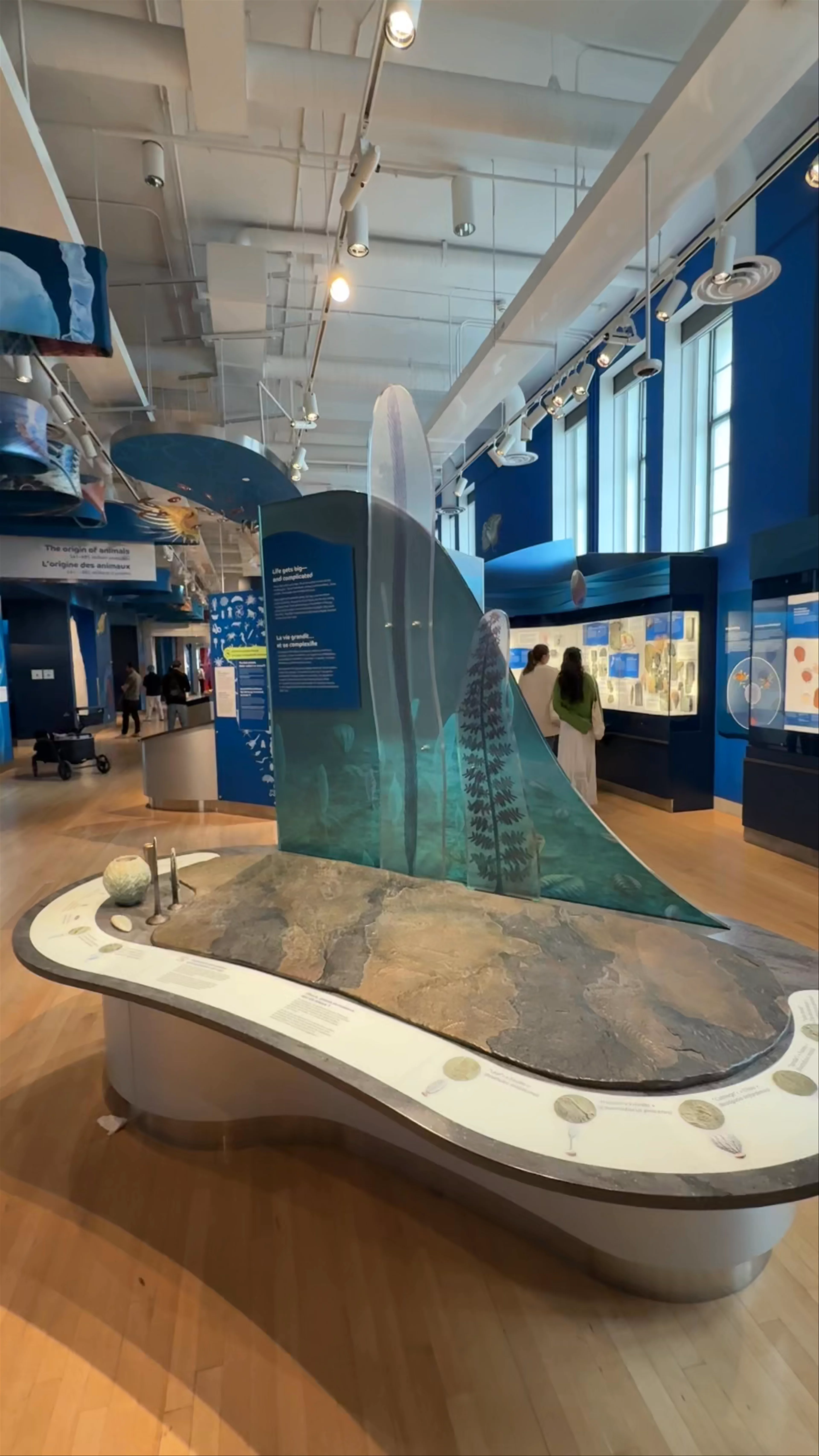 Royal Ontario Museum