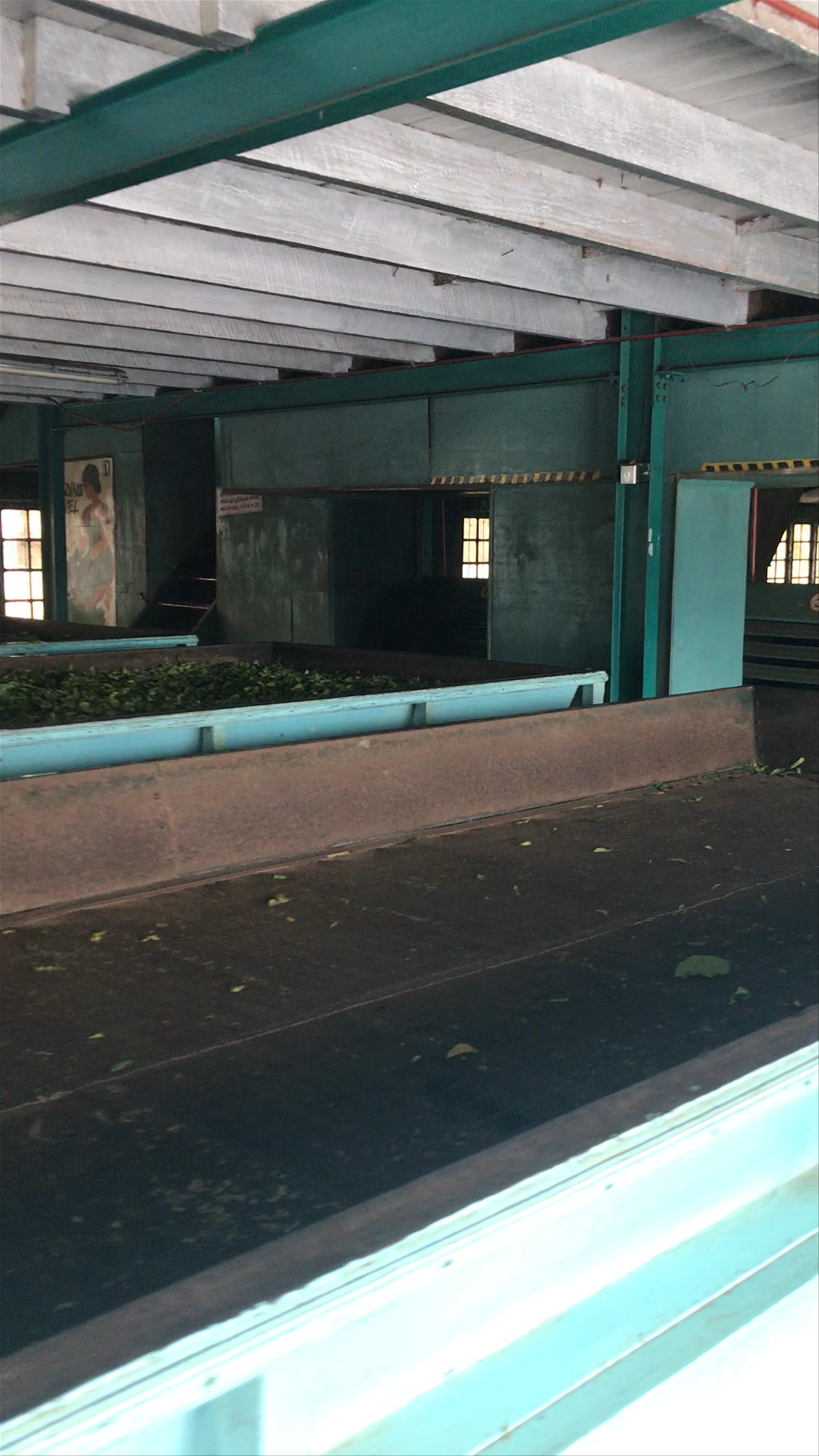 Damro Labookellie Tea Centre and Tea garden