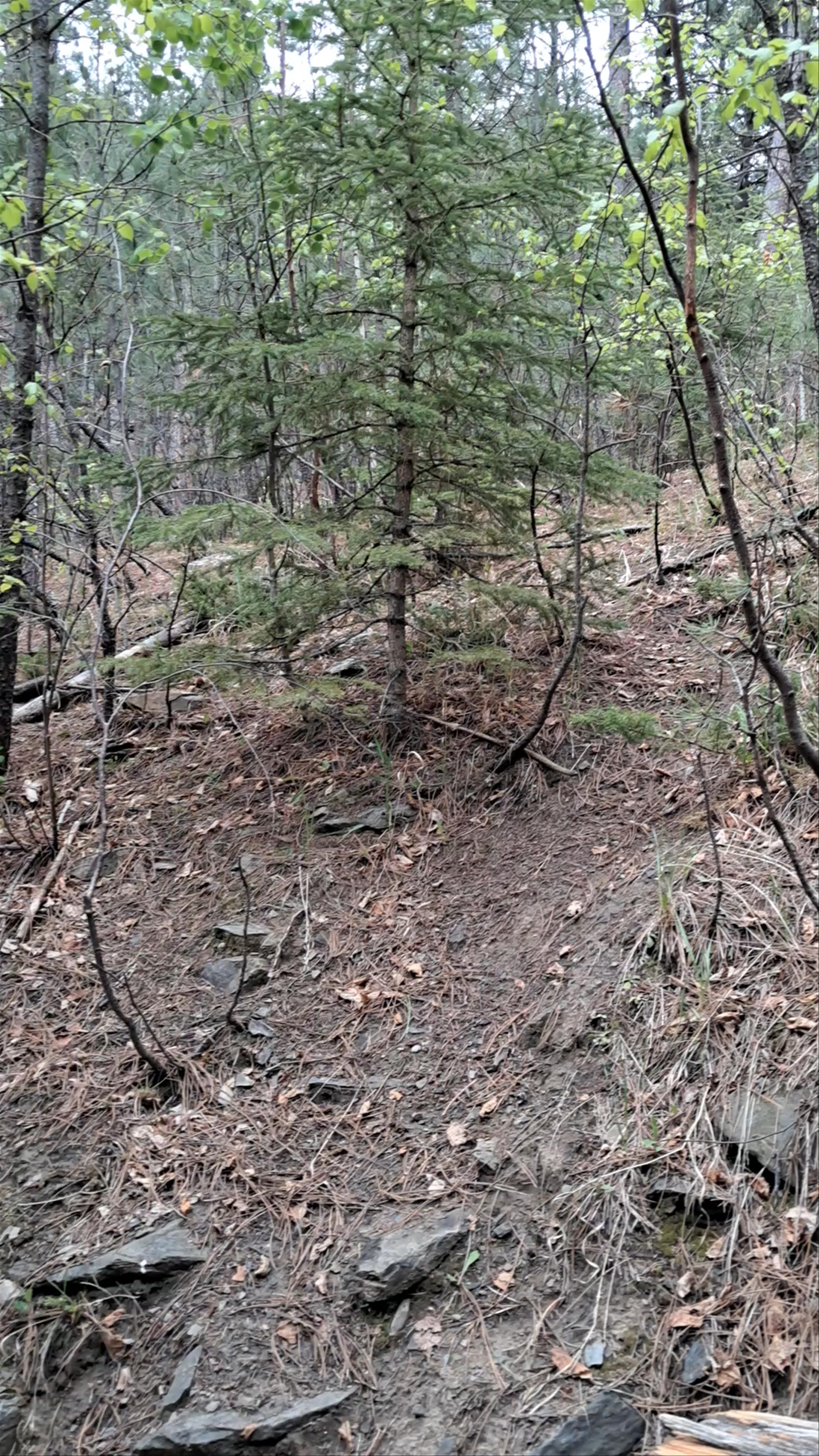 Flume Trail Loop Trailhead