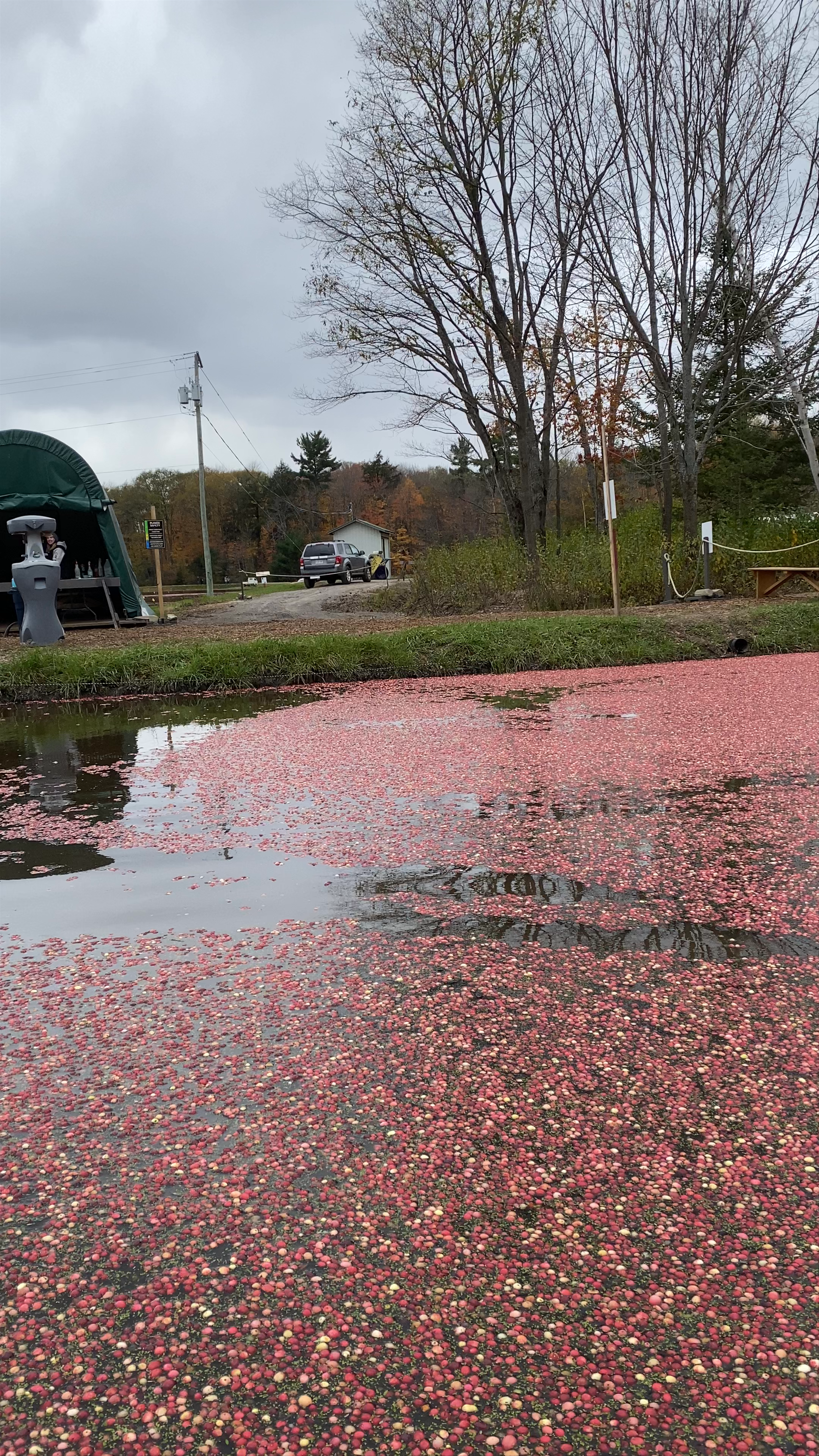 Muskoka Lakes Farm & Winery