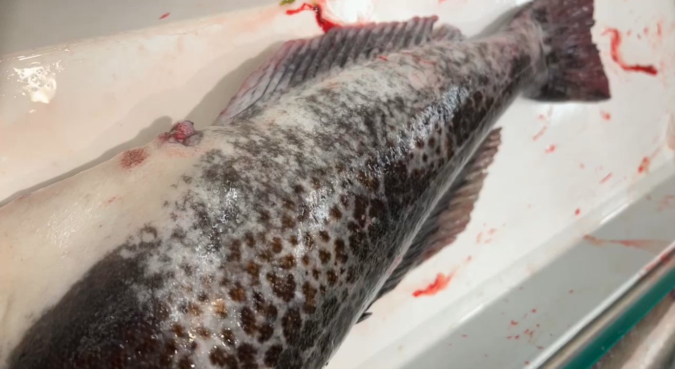 99 Ranch Market - The fish is fresh - Seafood Markets Near Me - Milpitas, California