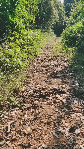 Photo of Goa off beat