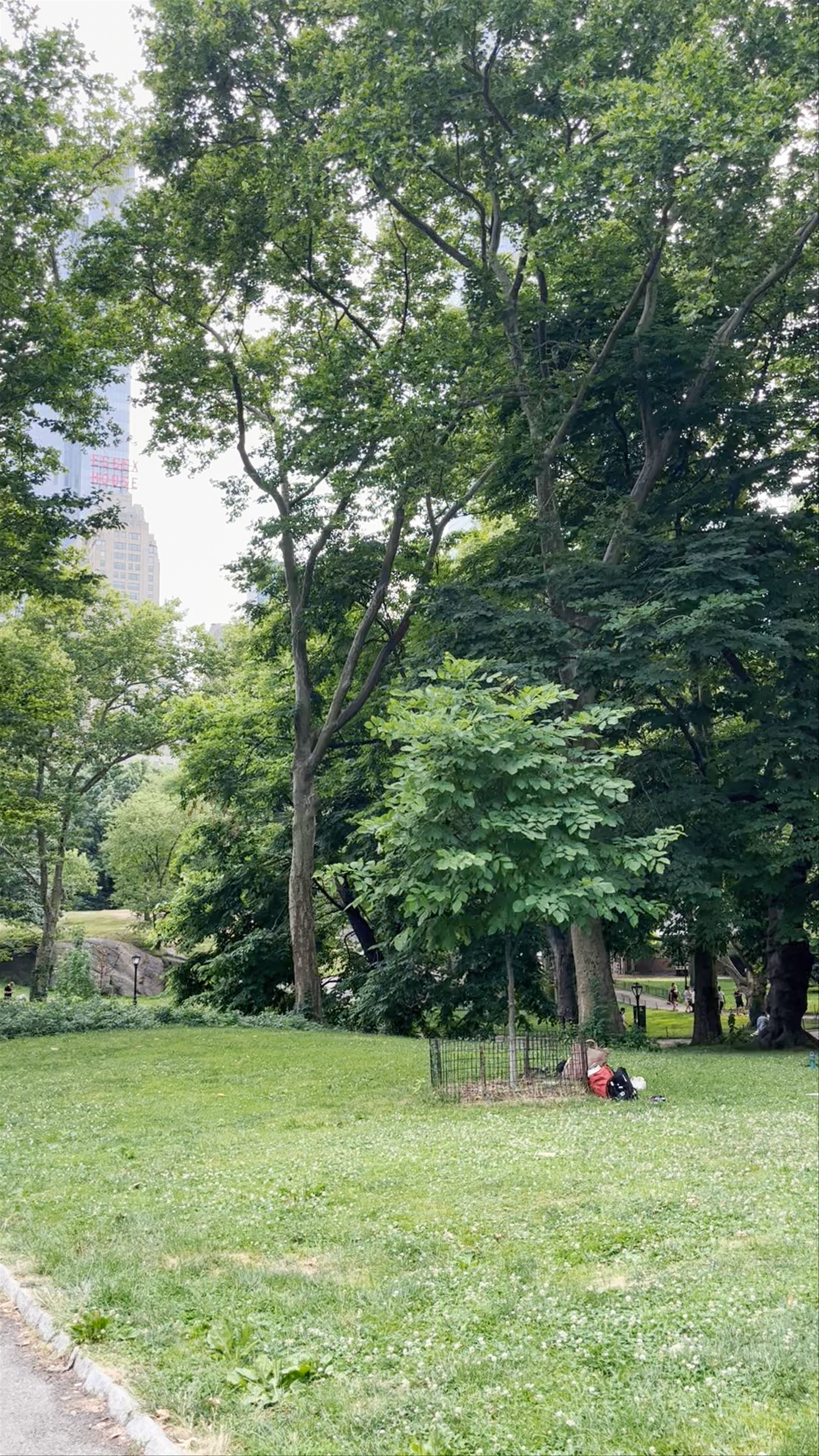 Central Park