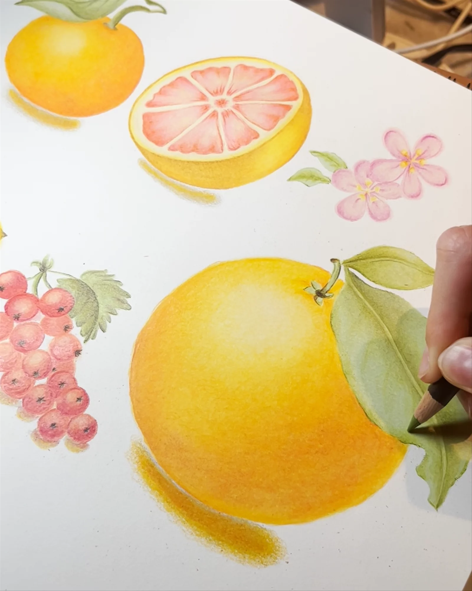 The designer matched her selected brand colors with each of the hand-drawn illustrations.