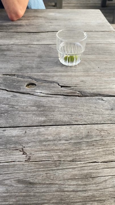 Republiek Bloemendaal - Kijk zoals je kan zien zijn er geen pizza's - Beach Bars Near Me - Overveen, New Hampshire