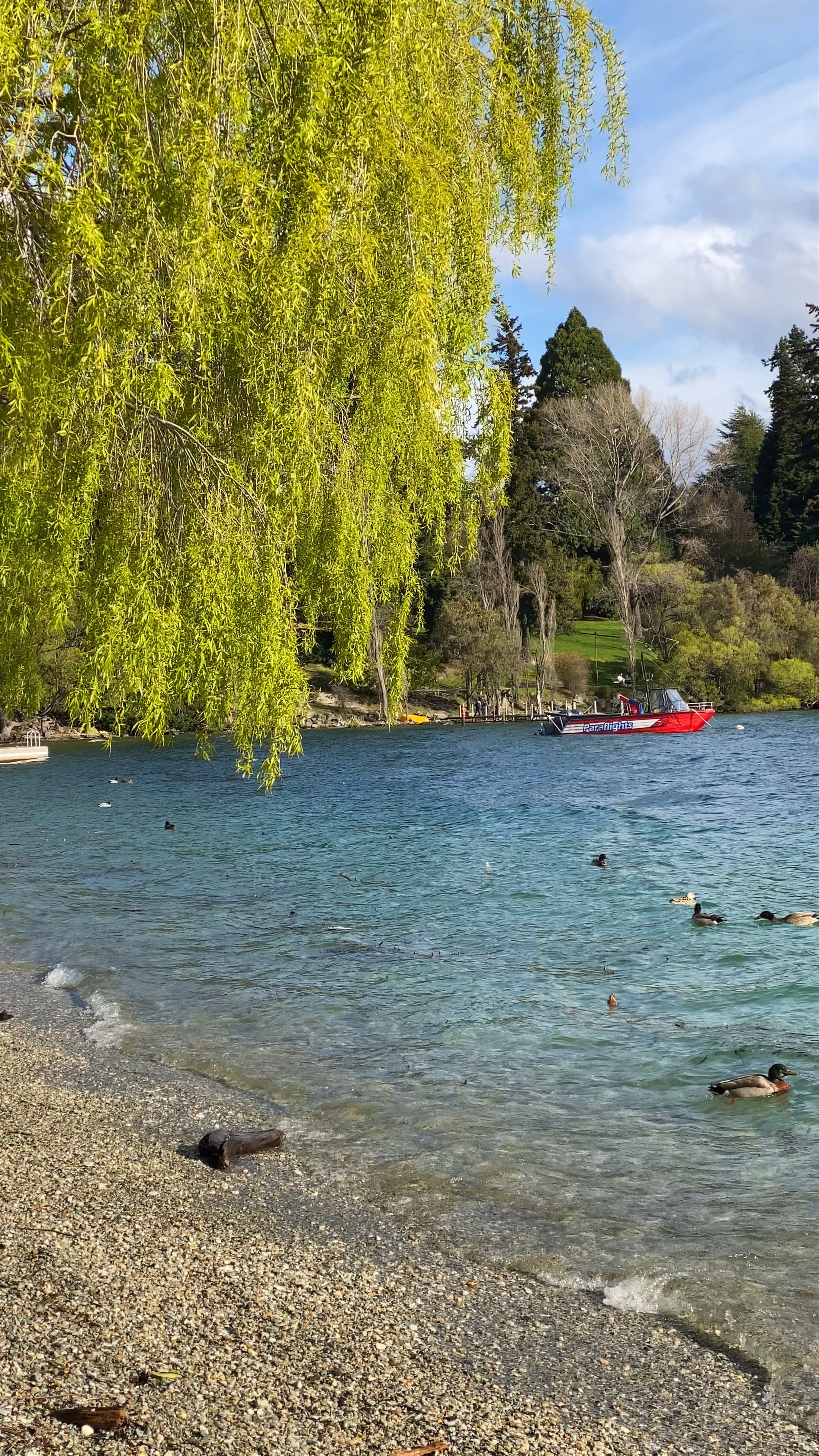 Serene Moments at Queenstown Beach, New Zealand