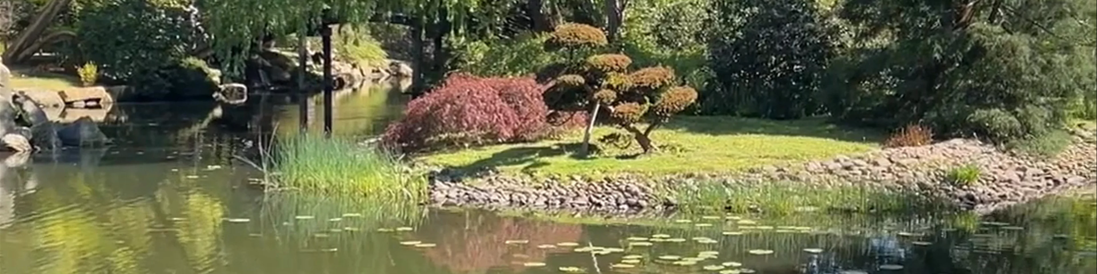 Japanese Garden
