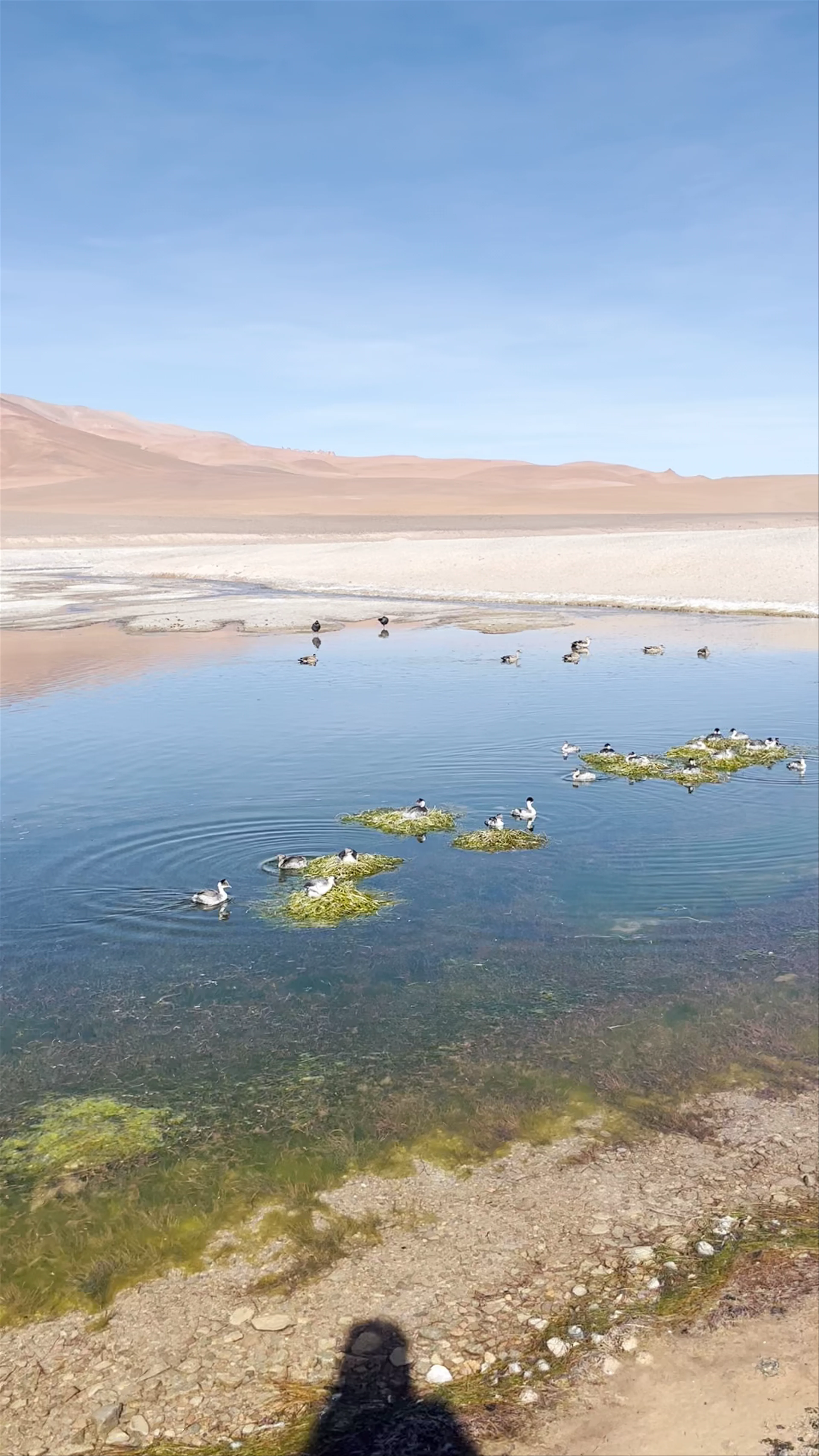Desierto de Atacama, Antofagasta, Chile