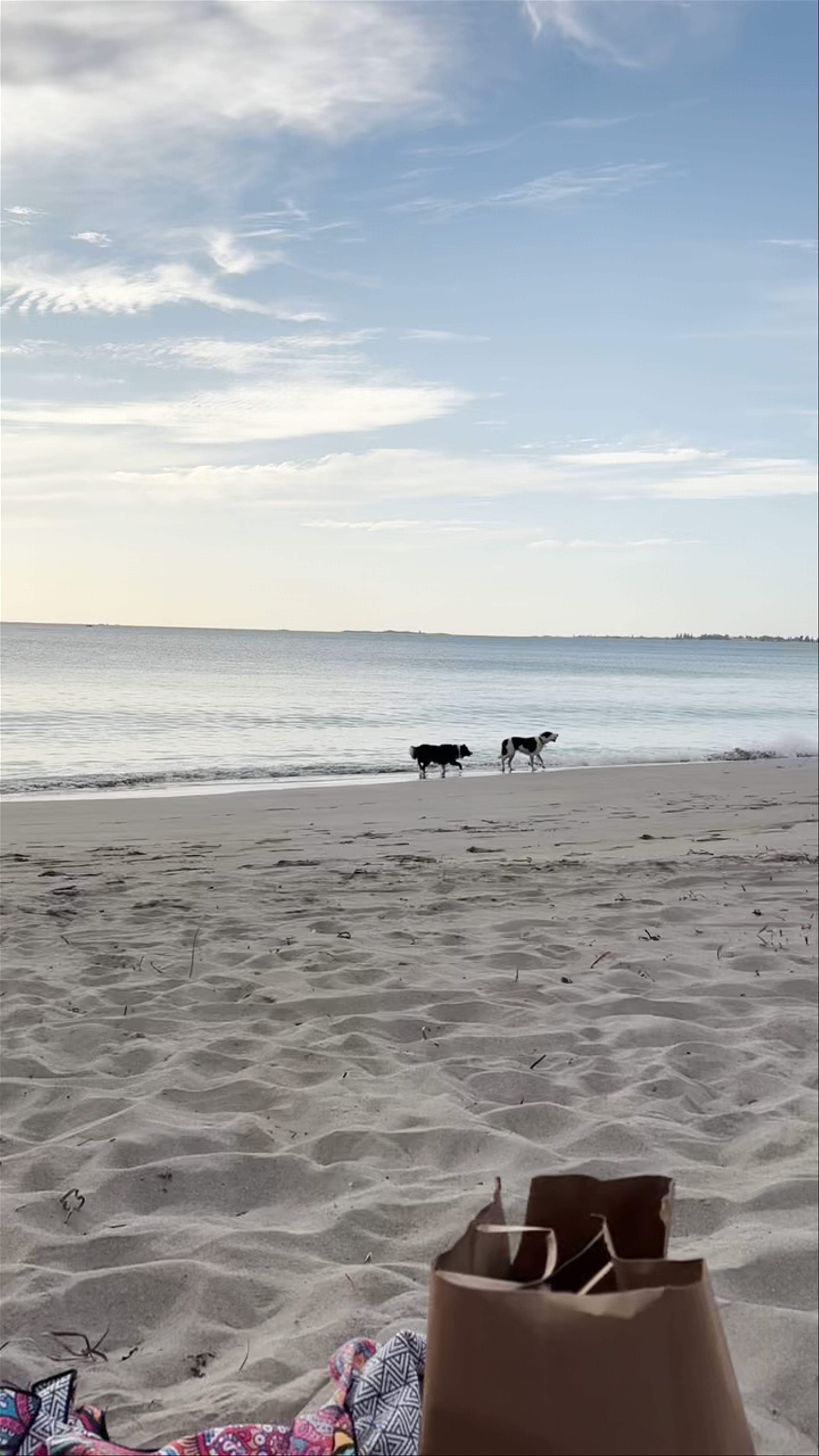 Warnbro Dog Beach