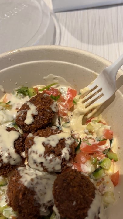 Hummus Grill - Falafel Hummus Salad - Mediterranean Near Me - Edison, New Jersey