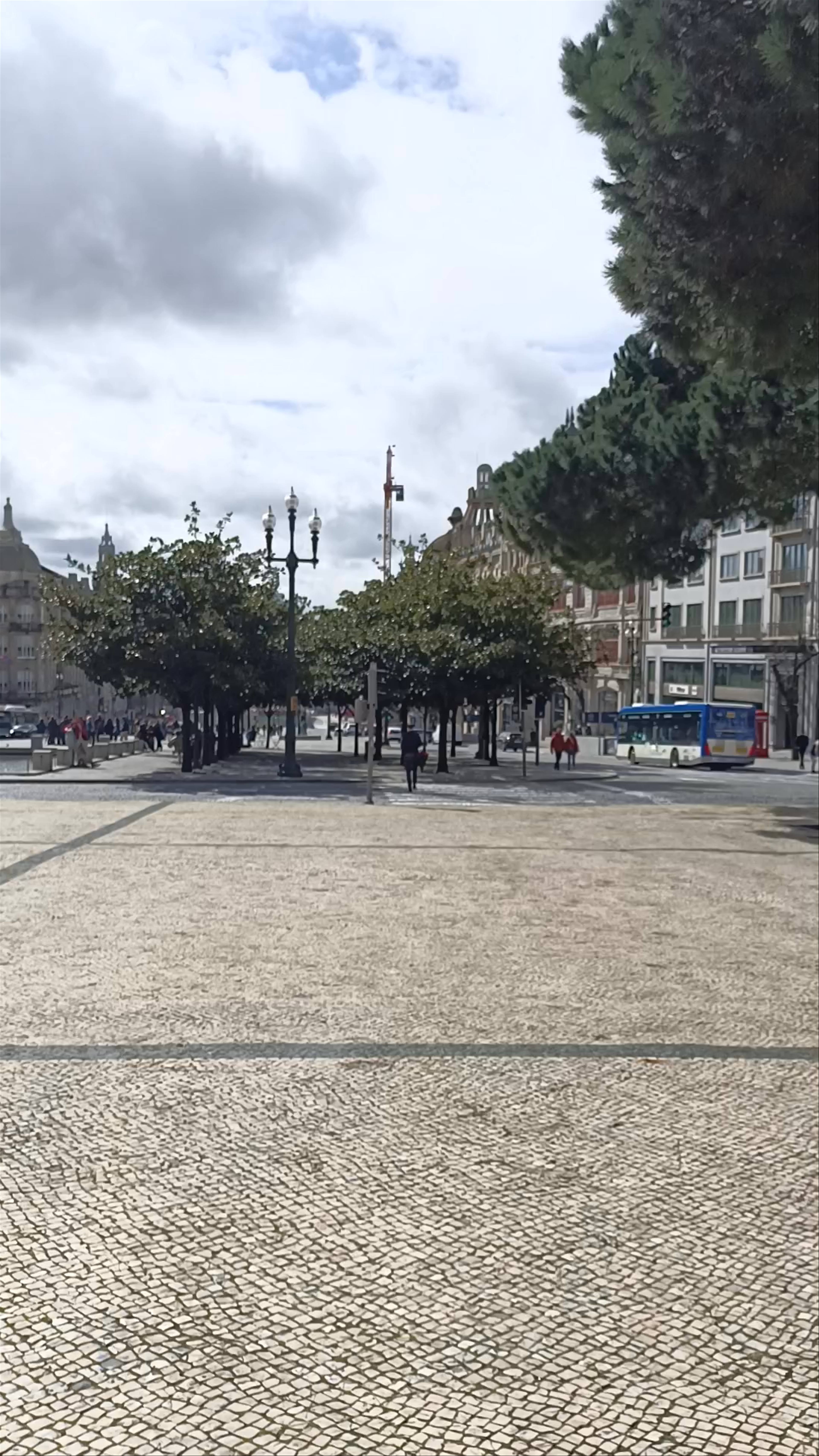 Strolling Through Câmara Municipal do Porto on a Bright Spring Day