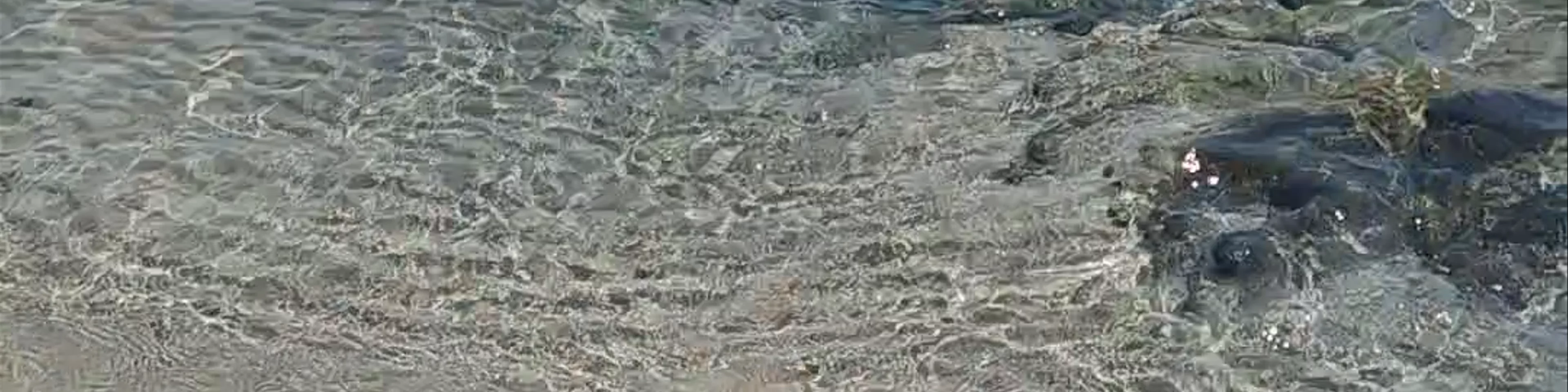 Spiaggia la Pelosa