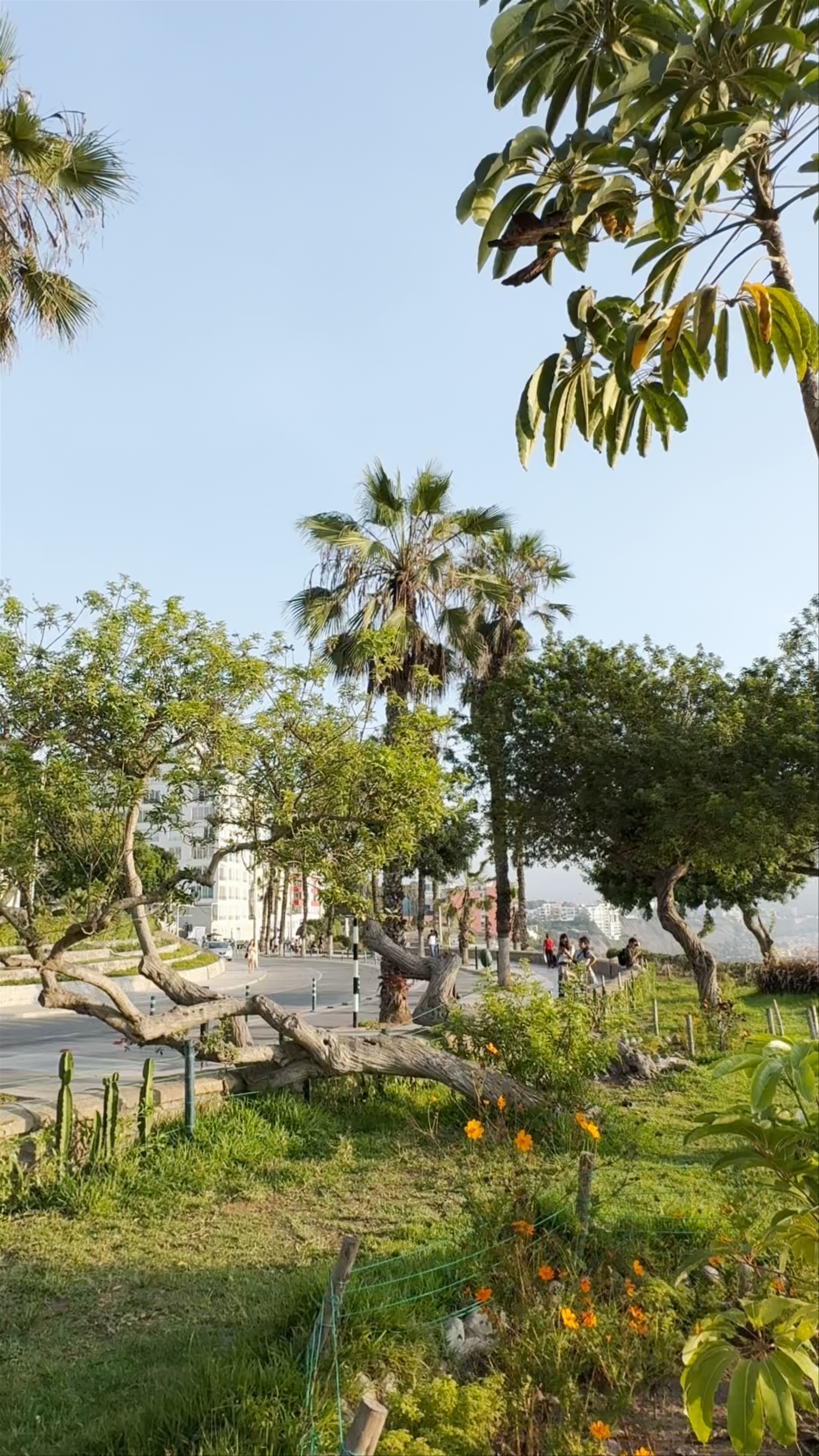Parque Malecón de Barranco