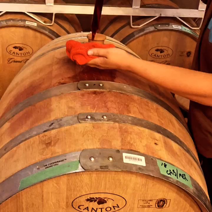 Sandbanks Winery - Part of the wine tour - Wineries Near Me - Wellington, Ontario