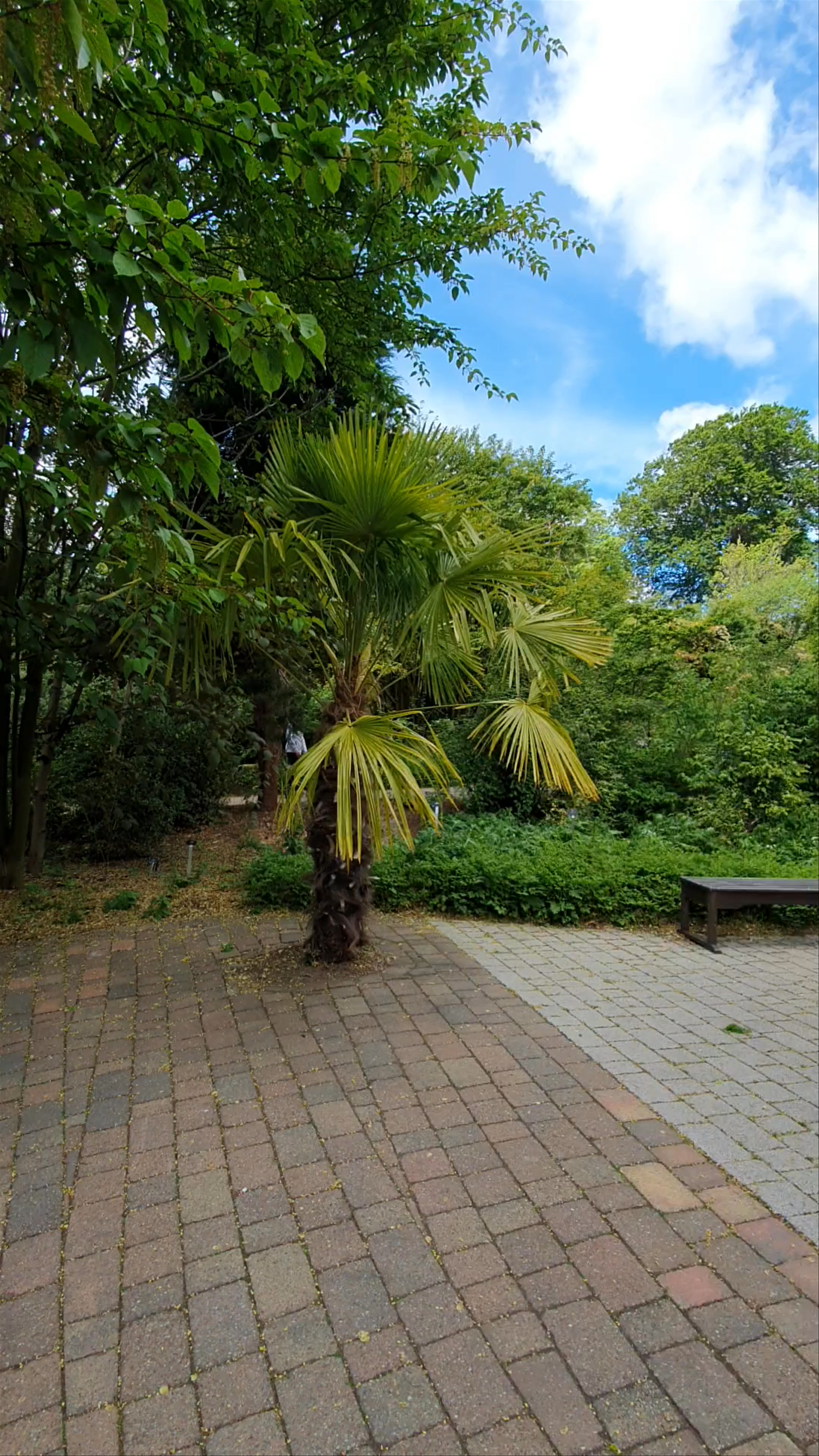  serene escape at the Chinese Hillside, Edinburgh