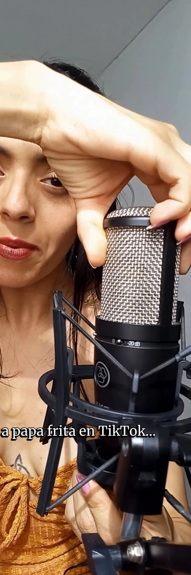 Mi experiencia con el Micrófono AKG
