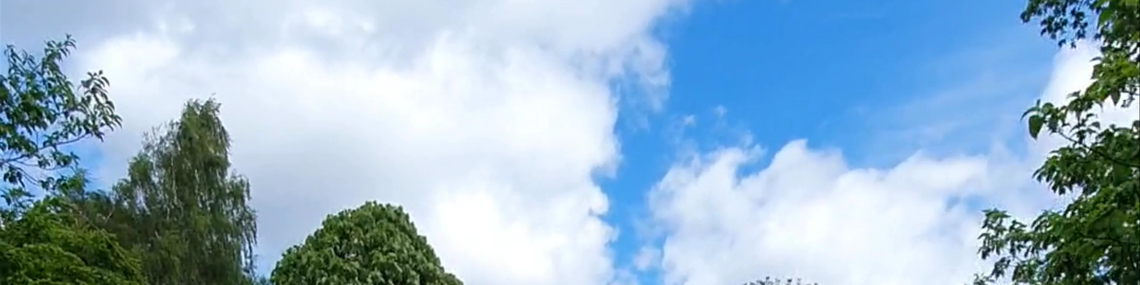 Chinese Hillside