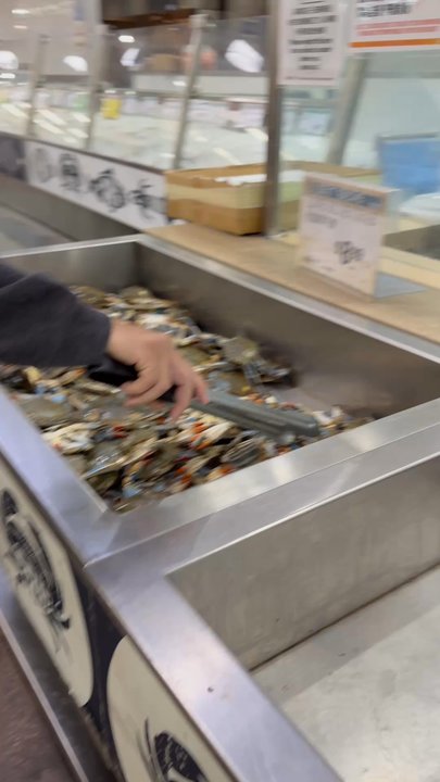 99 Ranch Market - Live blue crabs at 8.99 per lbs. - International Grocery Near Me - Austin, Texas