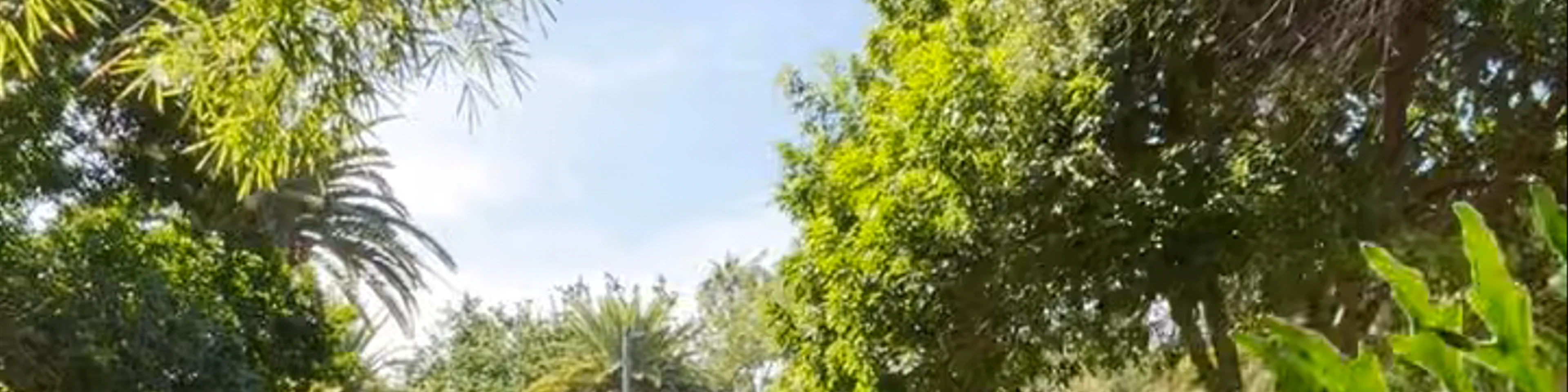 Parque García Sanabria