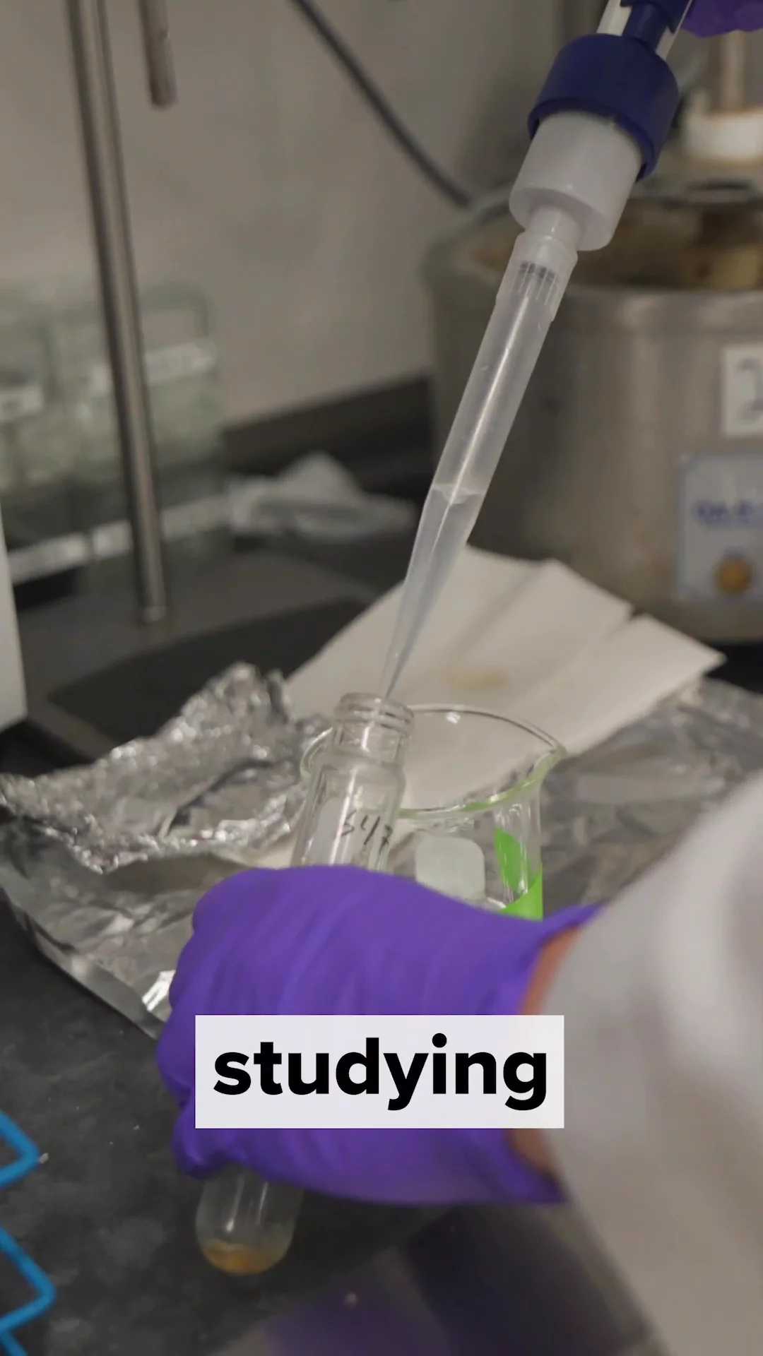 From Fish Labs to Theatre: A Day in the Life of an Eco-Conscious Student