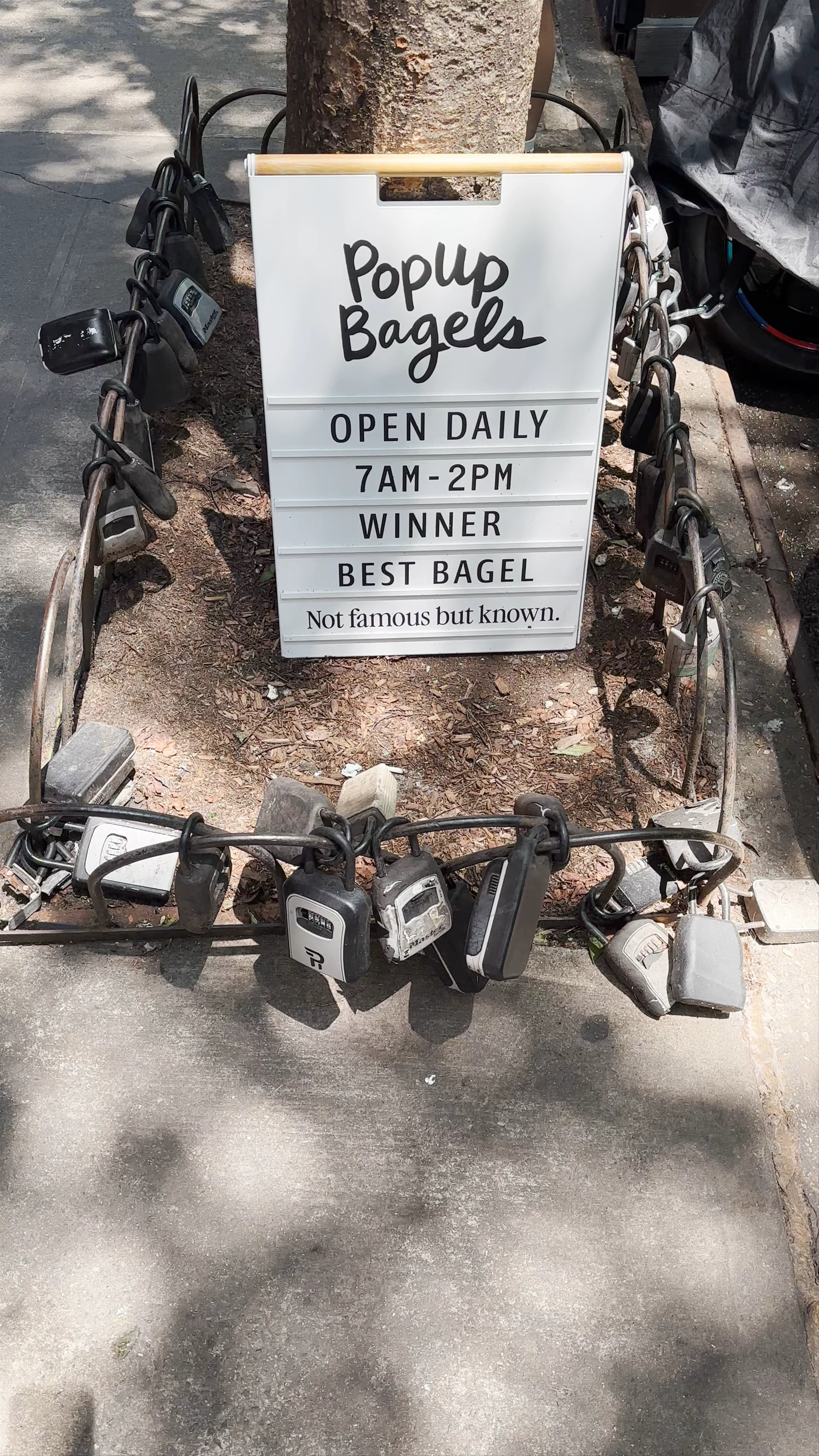 Popup Bagels