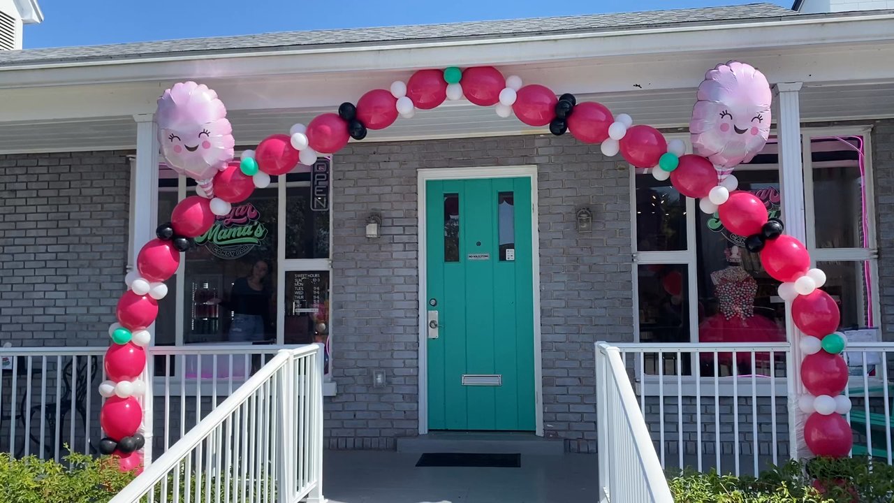 The Wild Llama - Link Arch  - Business Opening - Balloon Services Near Me - Clermont, Florida