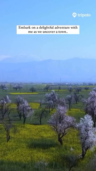 Photo of Are you a DDLJ fan? 