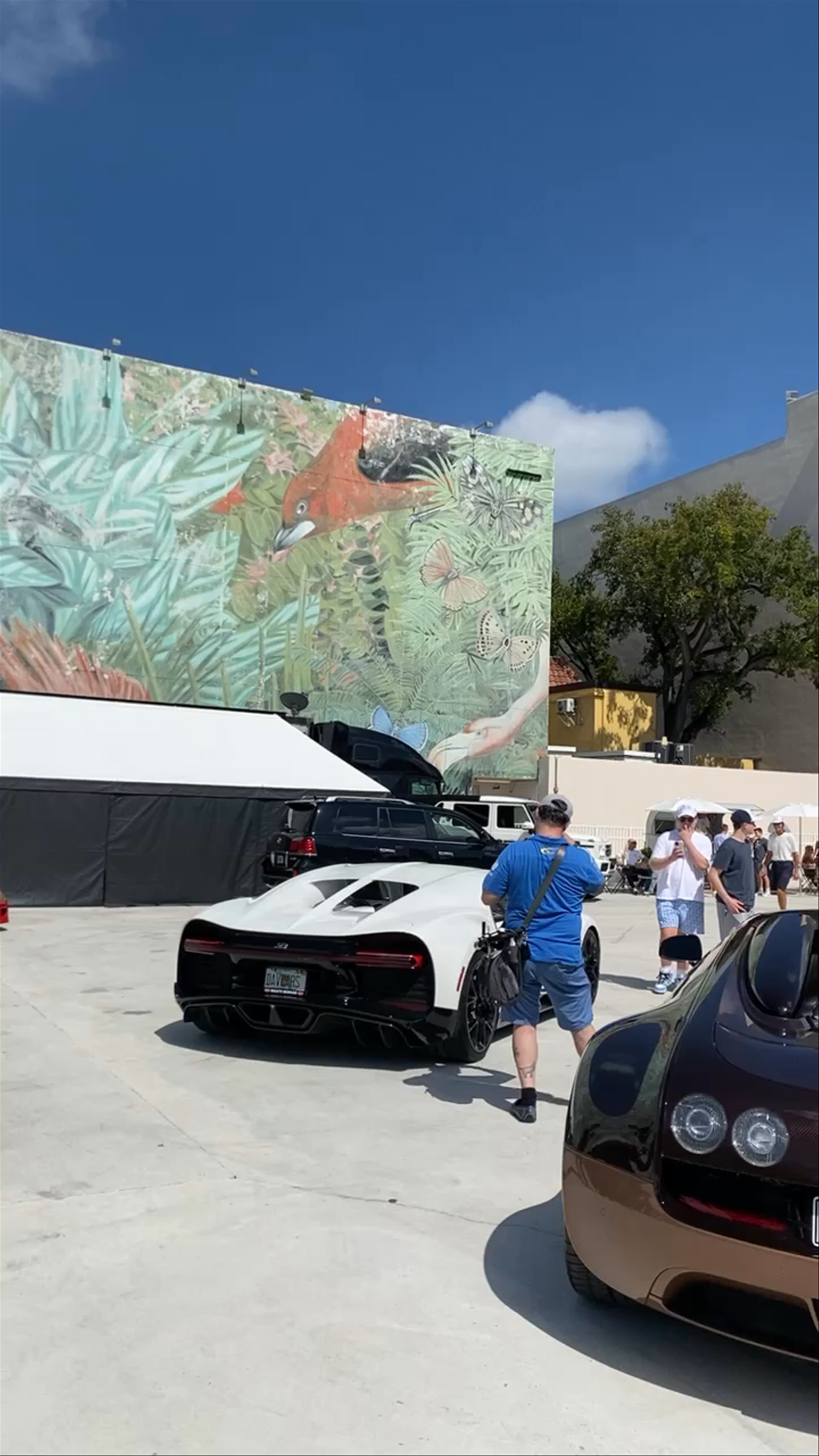 Miami Design District Luxury Car Meetup: Exotic Cars & Vibrant Street Art