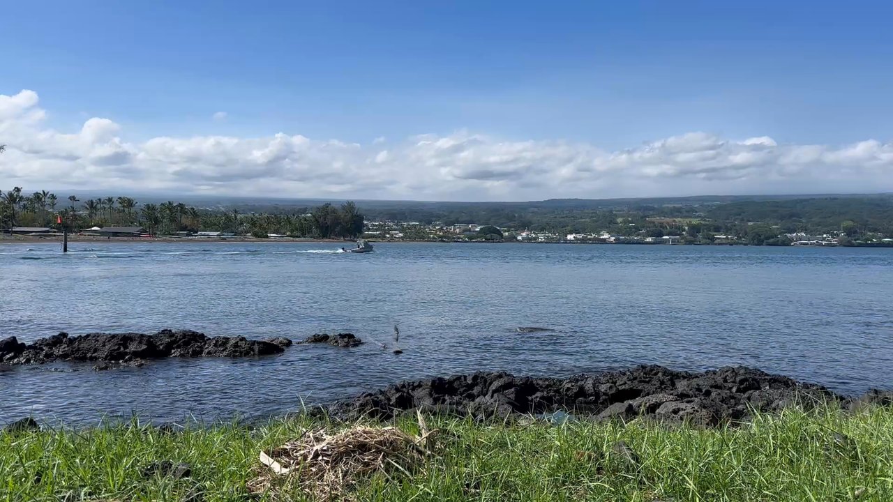 Hilo Bay Cafe - Bay View - New American Near Me - Hilo, Hawaii