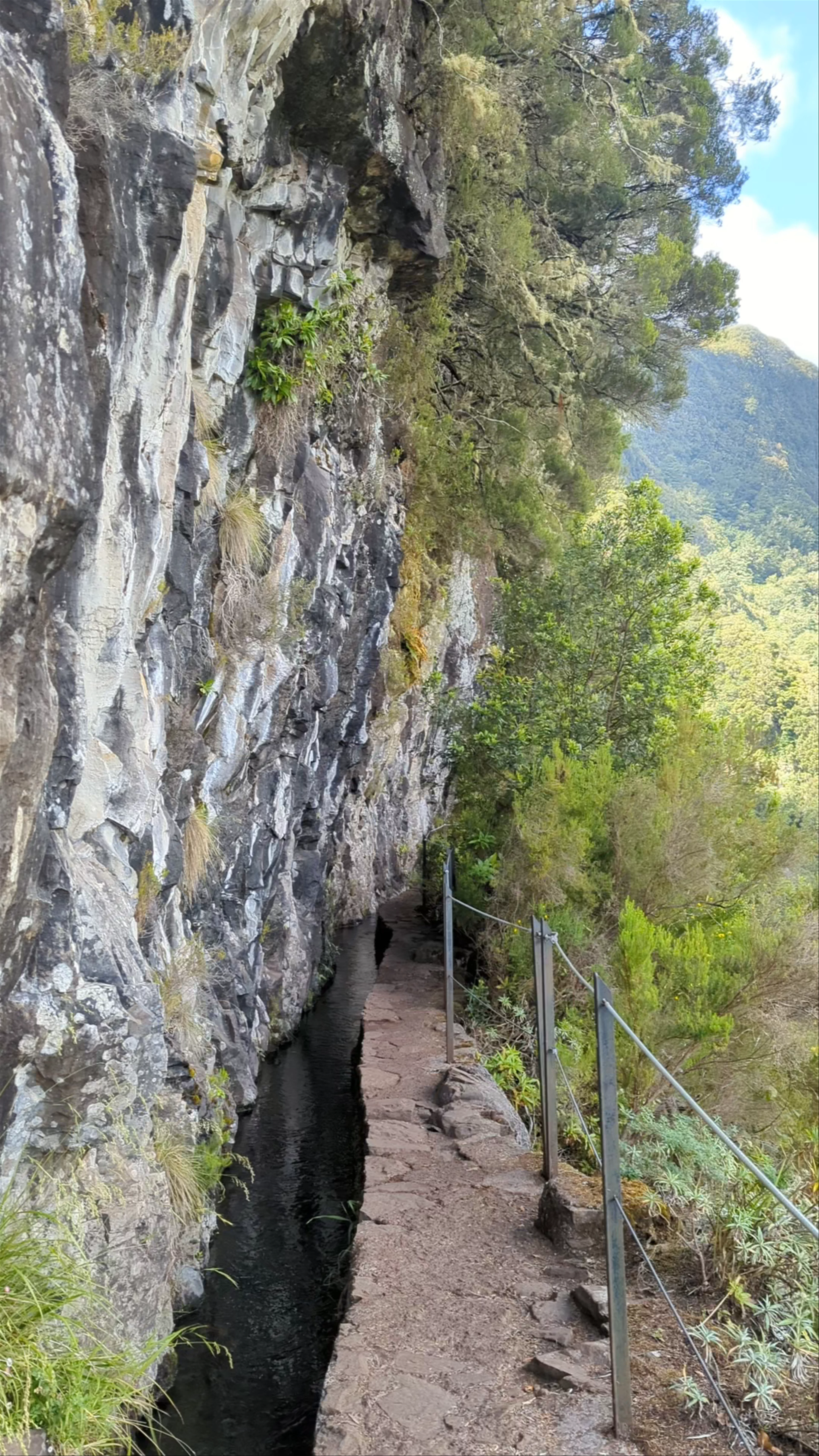 PR9 Levada do Caldeirão Verde, Santana, Portugal